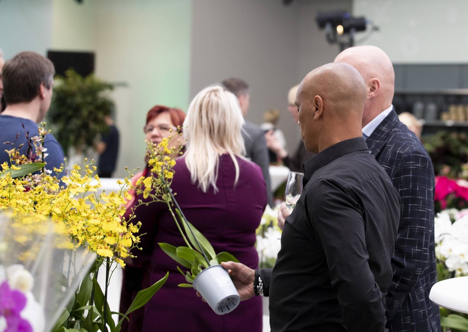 Hortese aianduskeskus avati Tähesajus Lasnamäel 2019. aastal, kuid nüüd tahab üürileandja kaupluselt pinna üürivõla tõttu ära võtta.