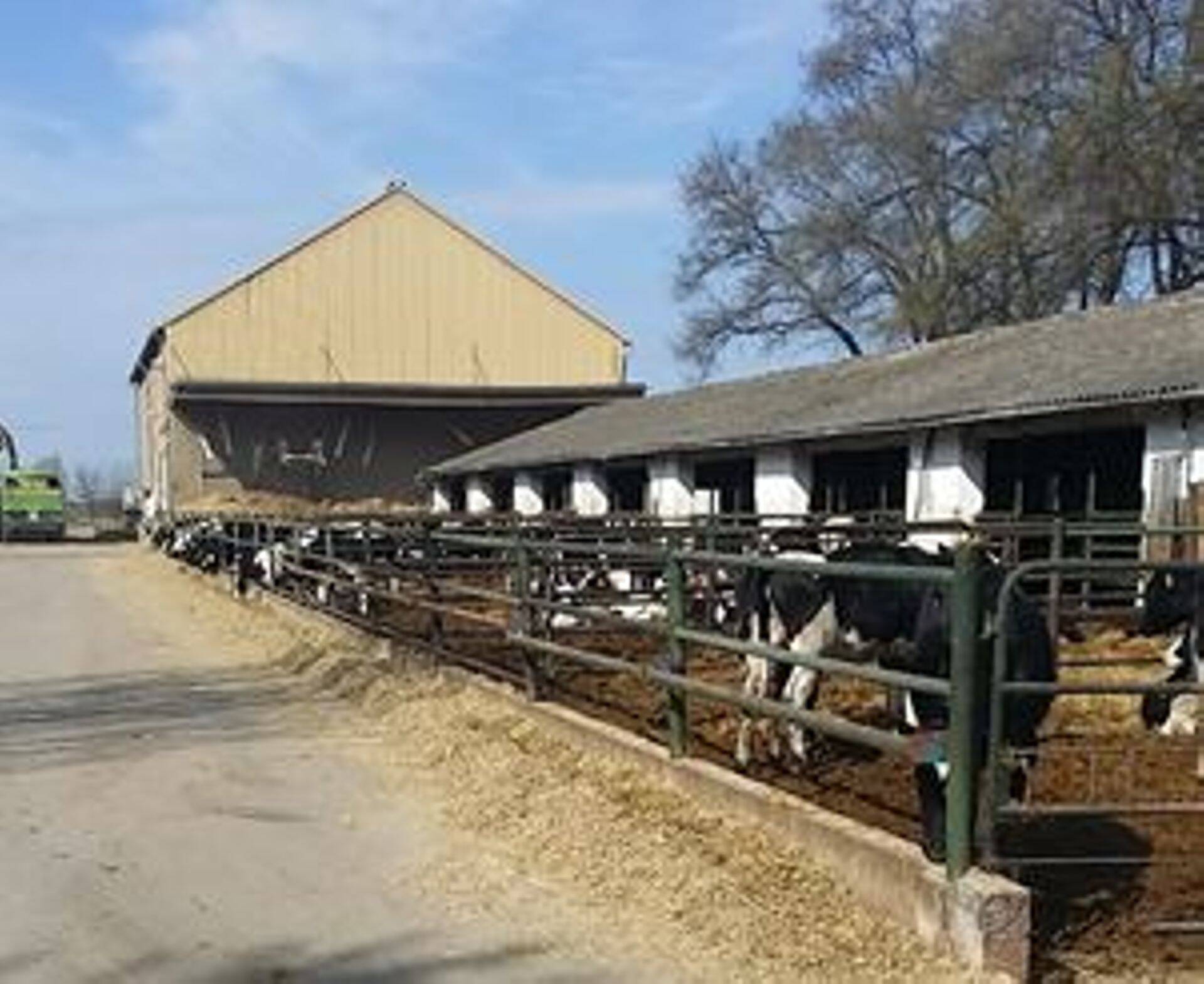 Eesti piimatootjad külastasid Israeli ja Ungari lüpsifarme