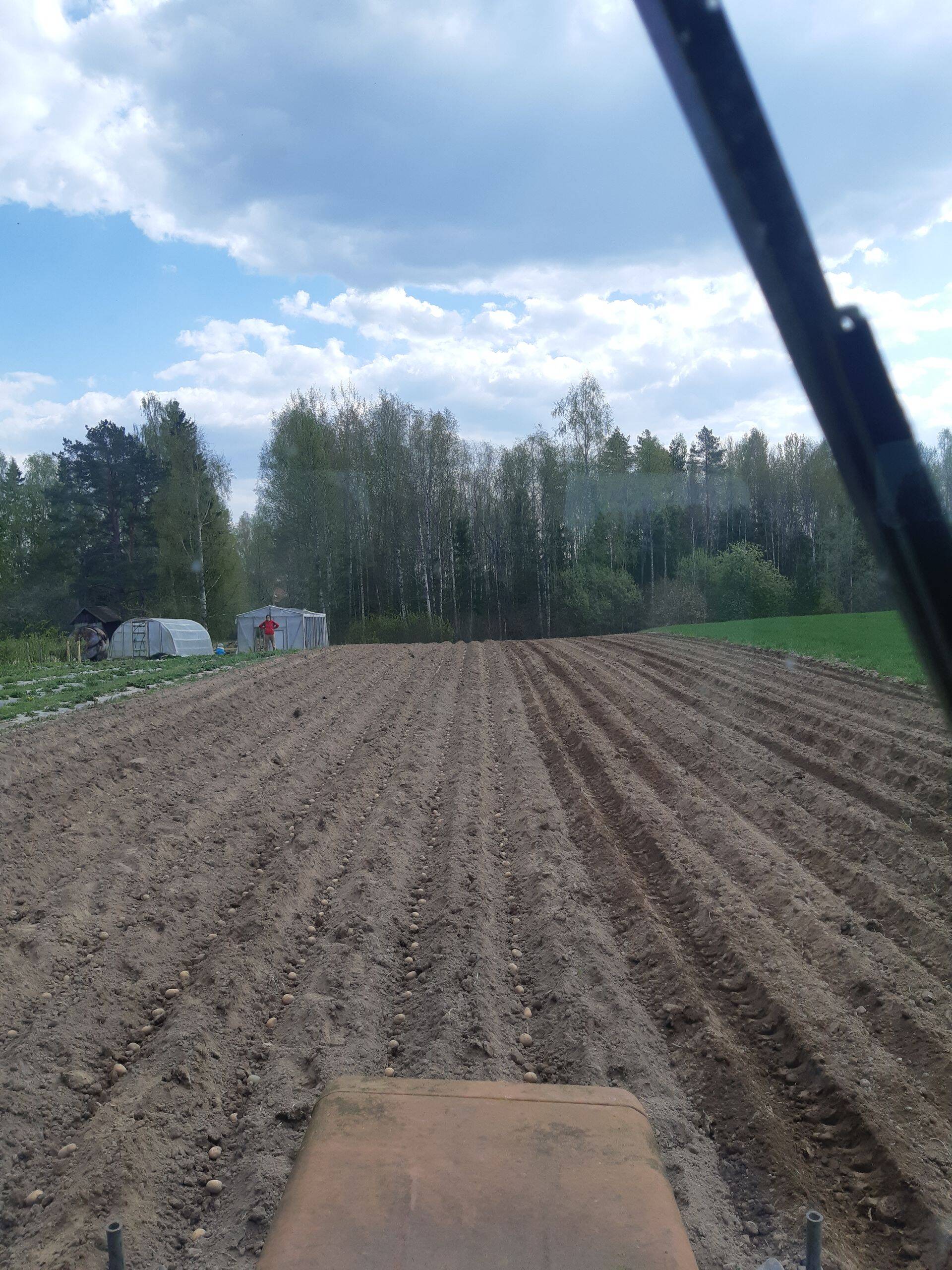 Kartulipanek.
