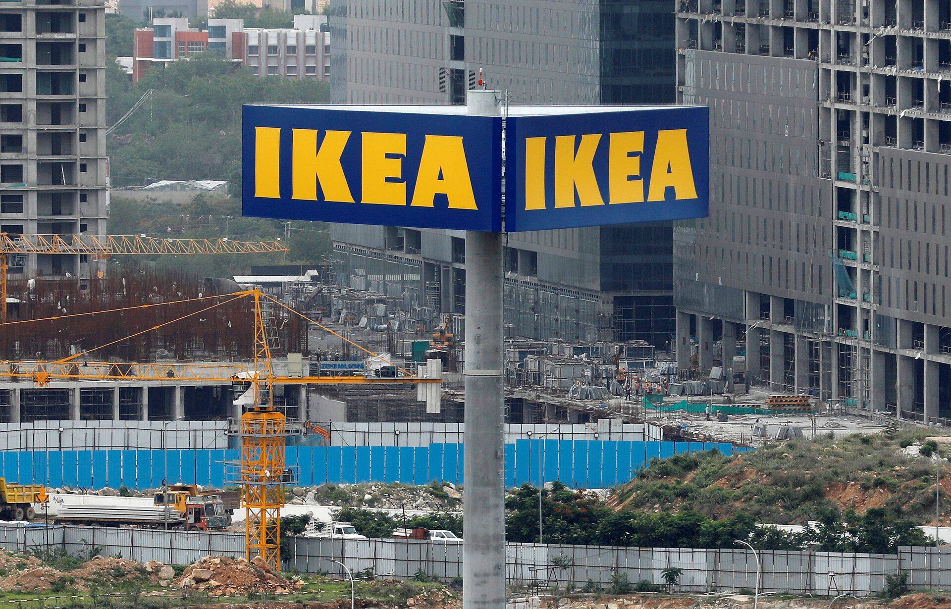 IKEA стала крупнейшим владельцем частных лесов в Литве