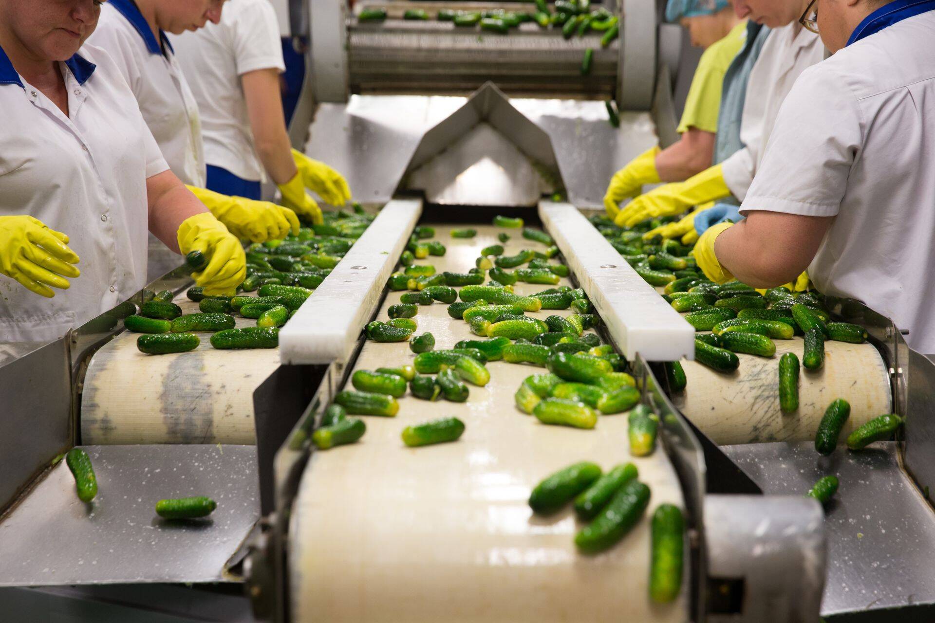 Pilt on illustreeriv