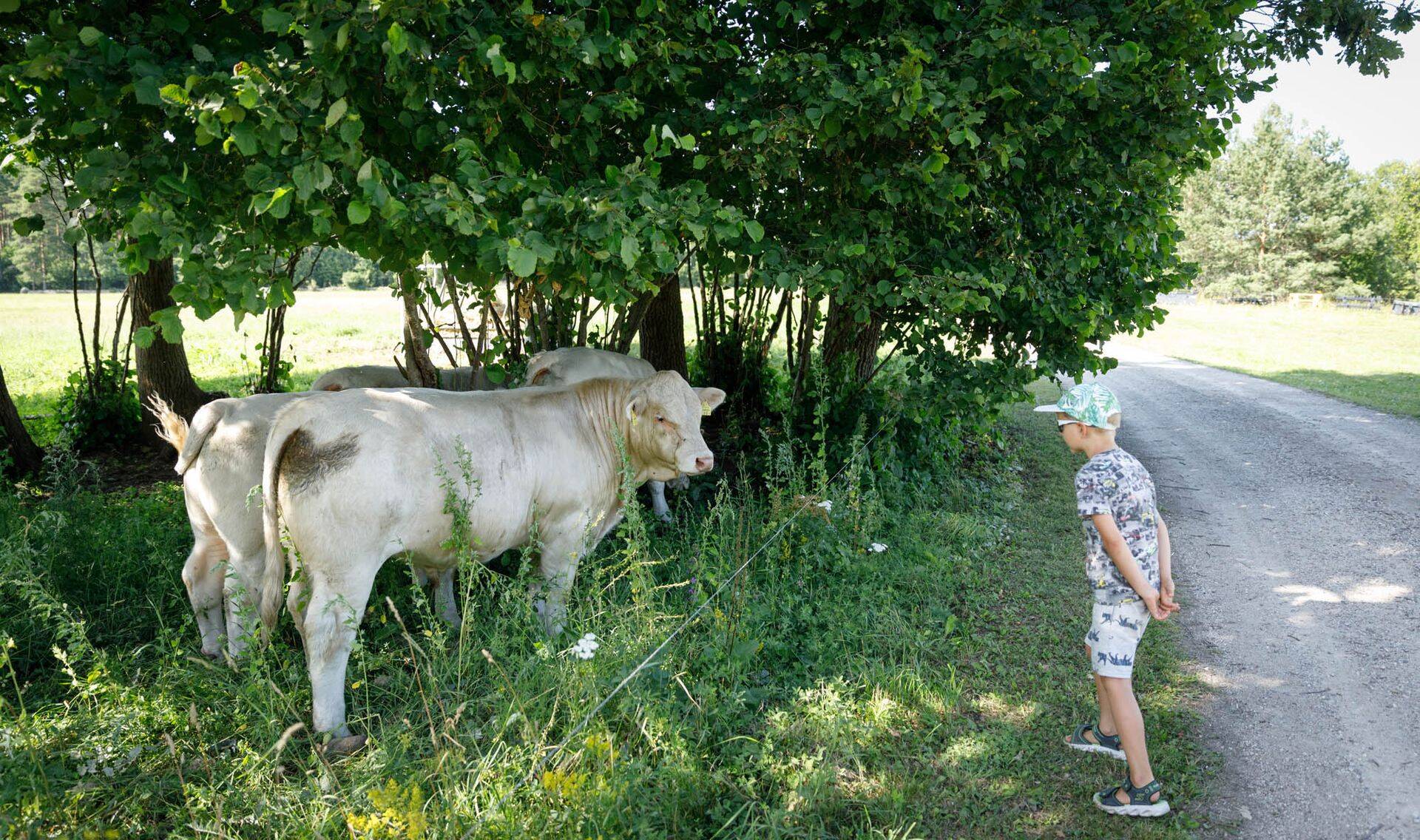 Avatud talude päev 2019