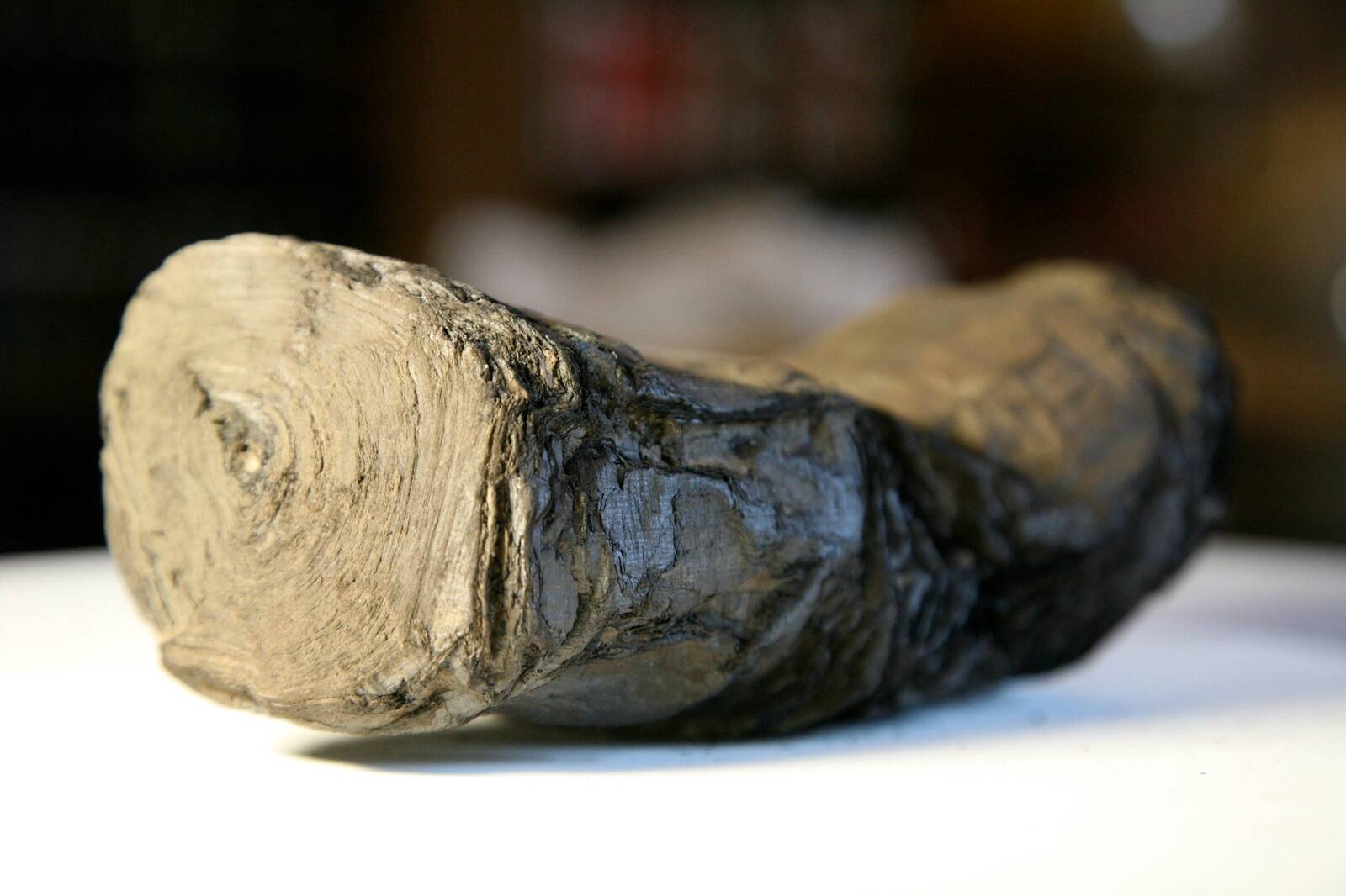 © Via Reuters. Sellised need Herculaneumi papüürusrullid välja näevad.