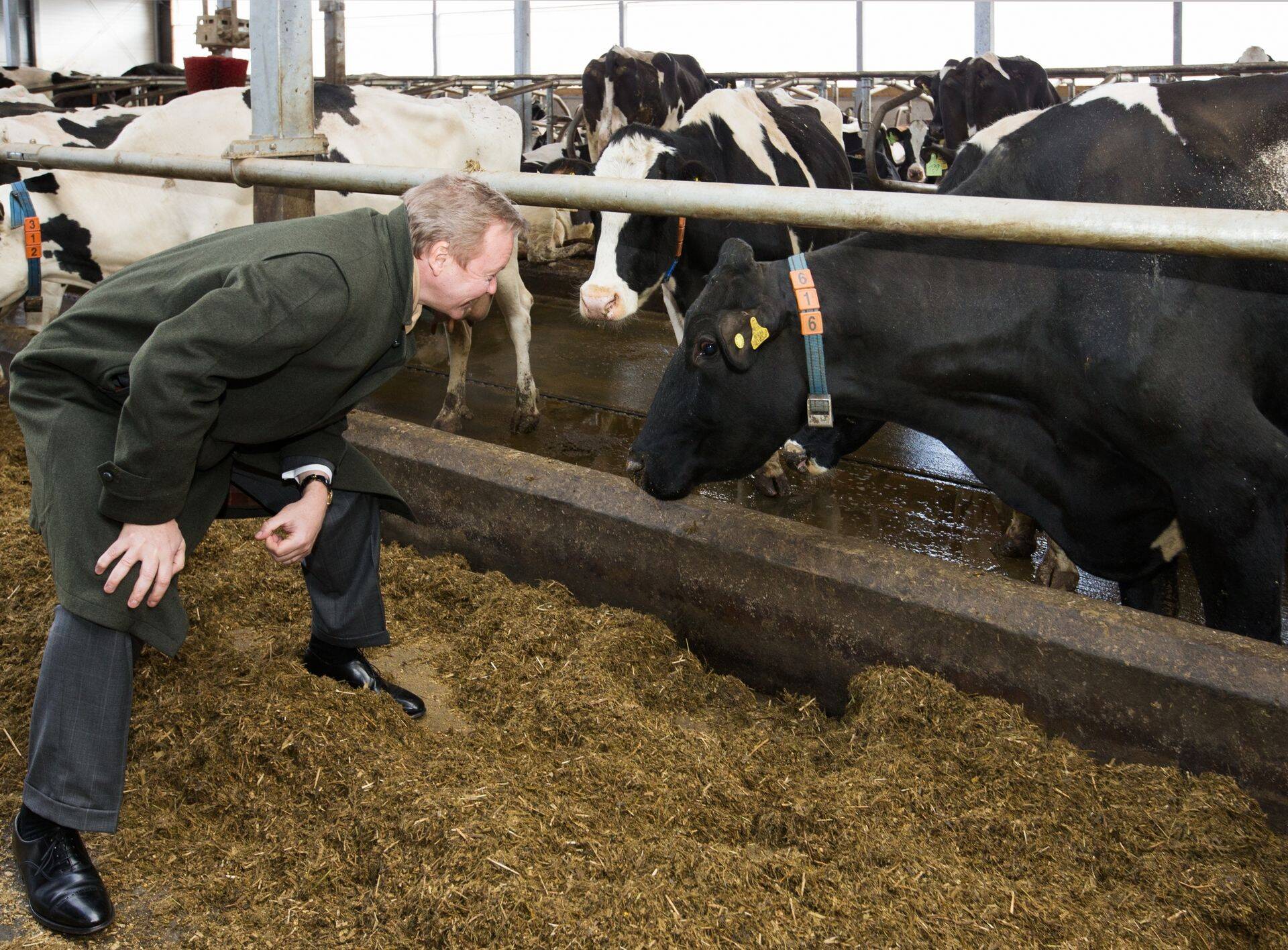 Joakim Heleniuse abiga on Väätsa Agro suutnud kunagised raskused ületada ning uue omaniku hõlma all kasvada ja kasumlikuks muutuda.