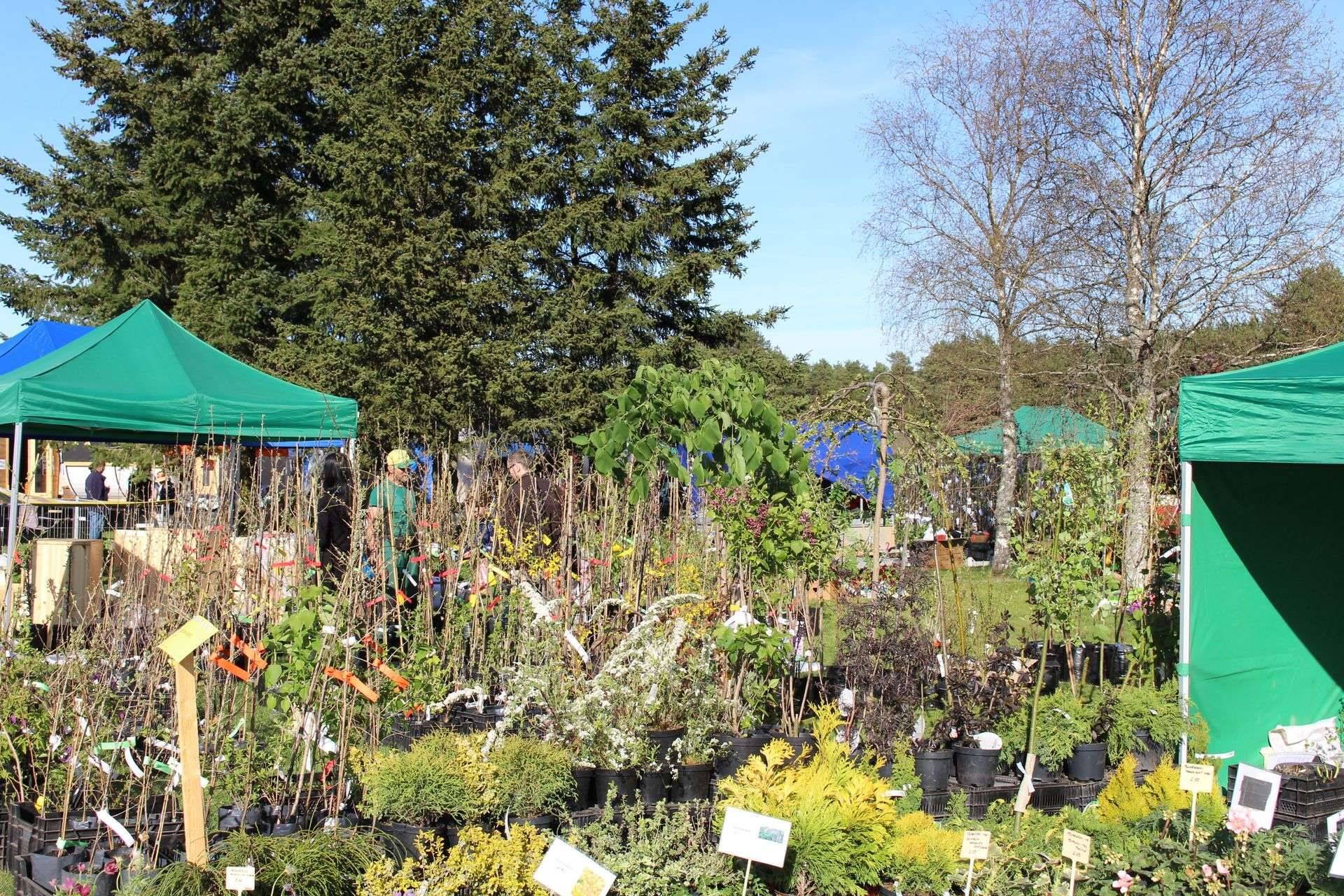 Kevadlaatade aeg on käes