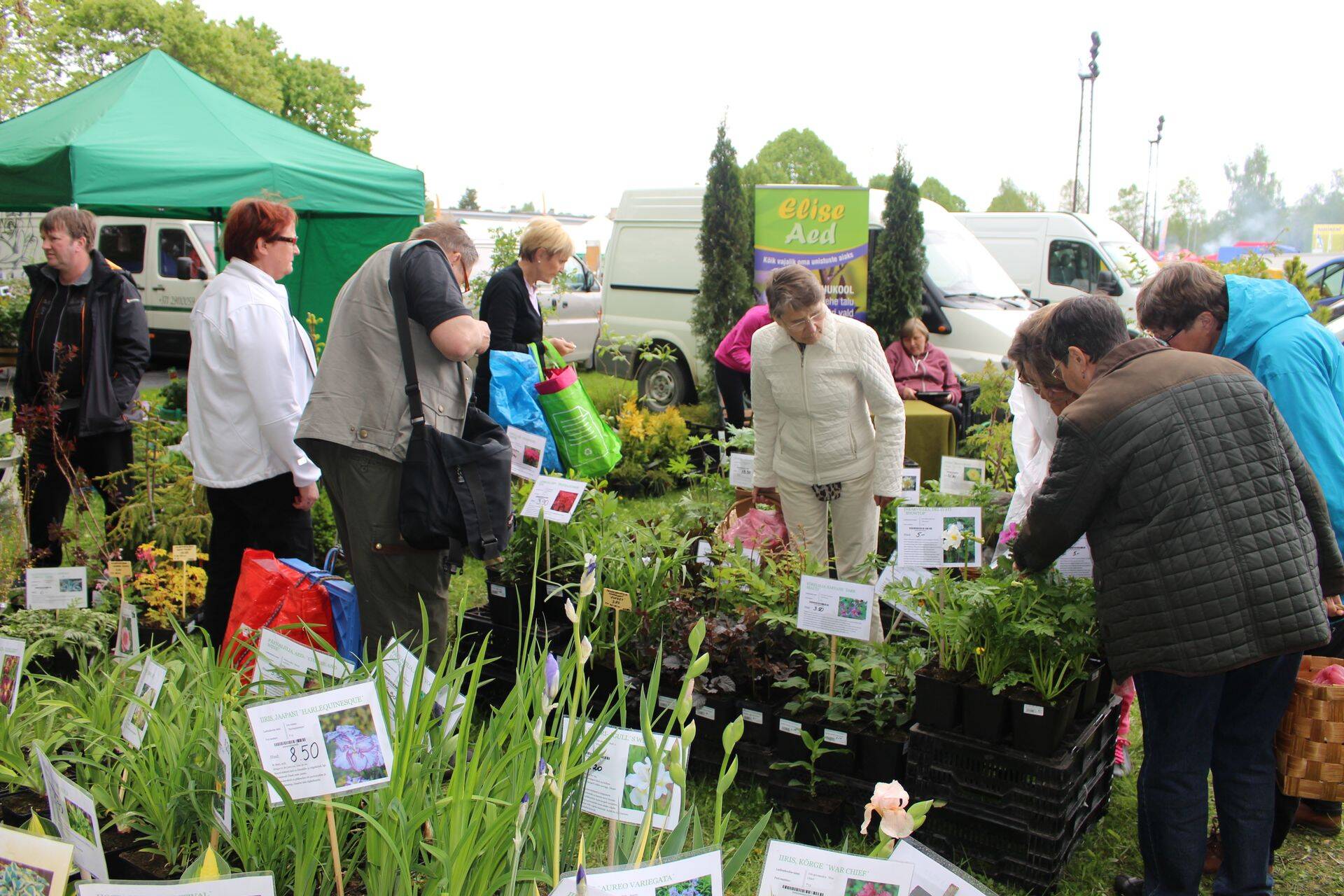 Nõudlus taimede ja istikute järele on tänavu isegi suurem kui varasematel aastatel.