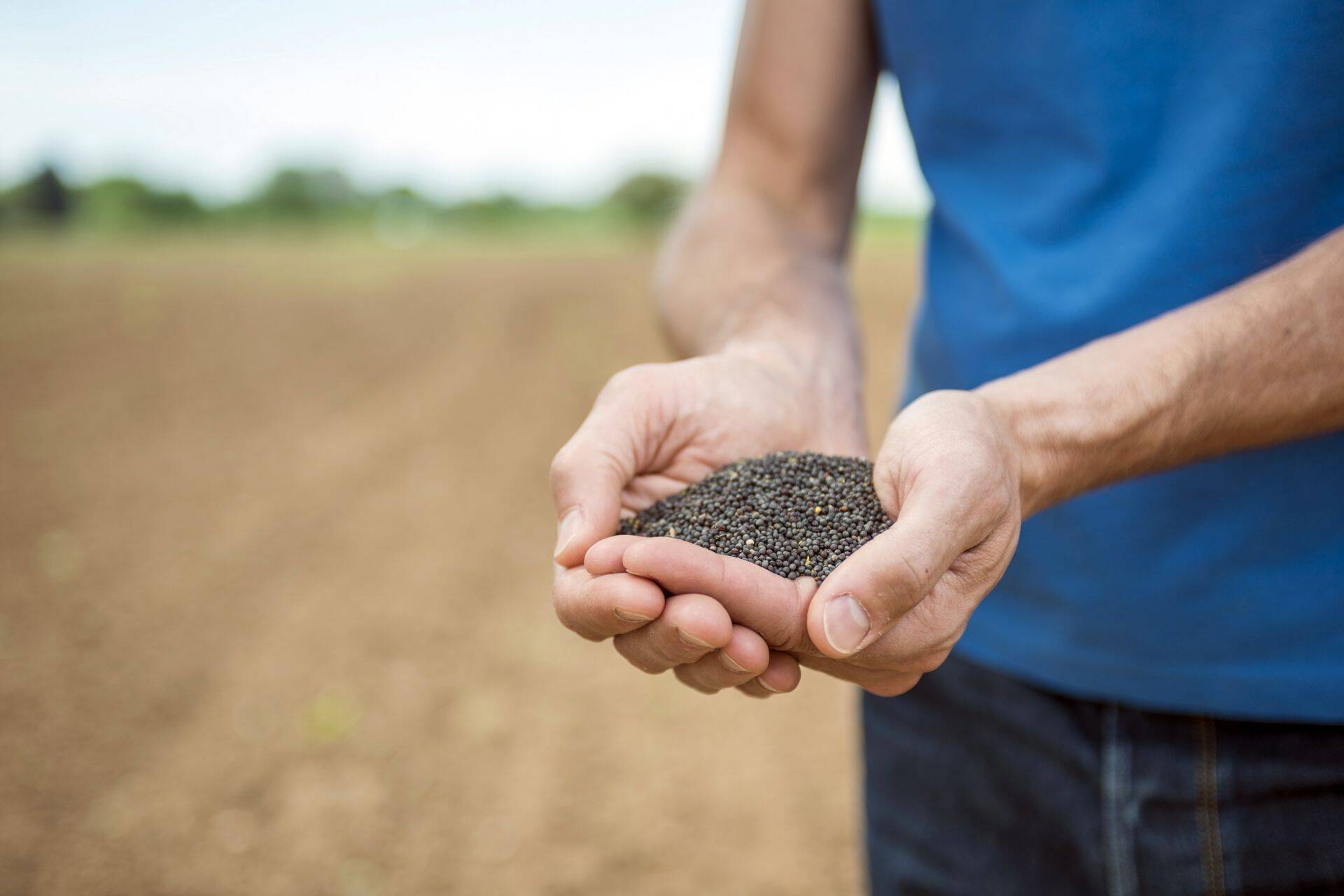 BASF viib lõpule Bayeri tegevusharude ja varade omandamise