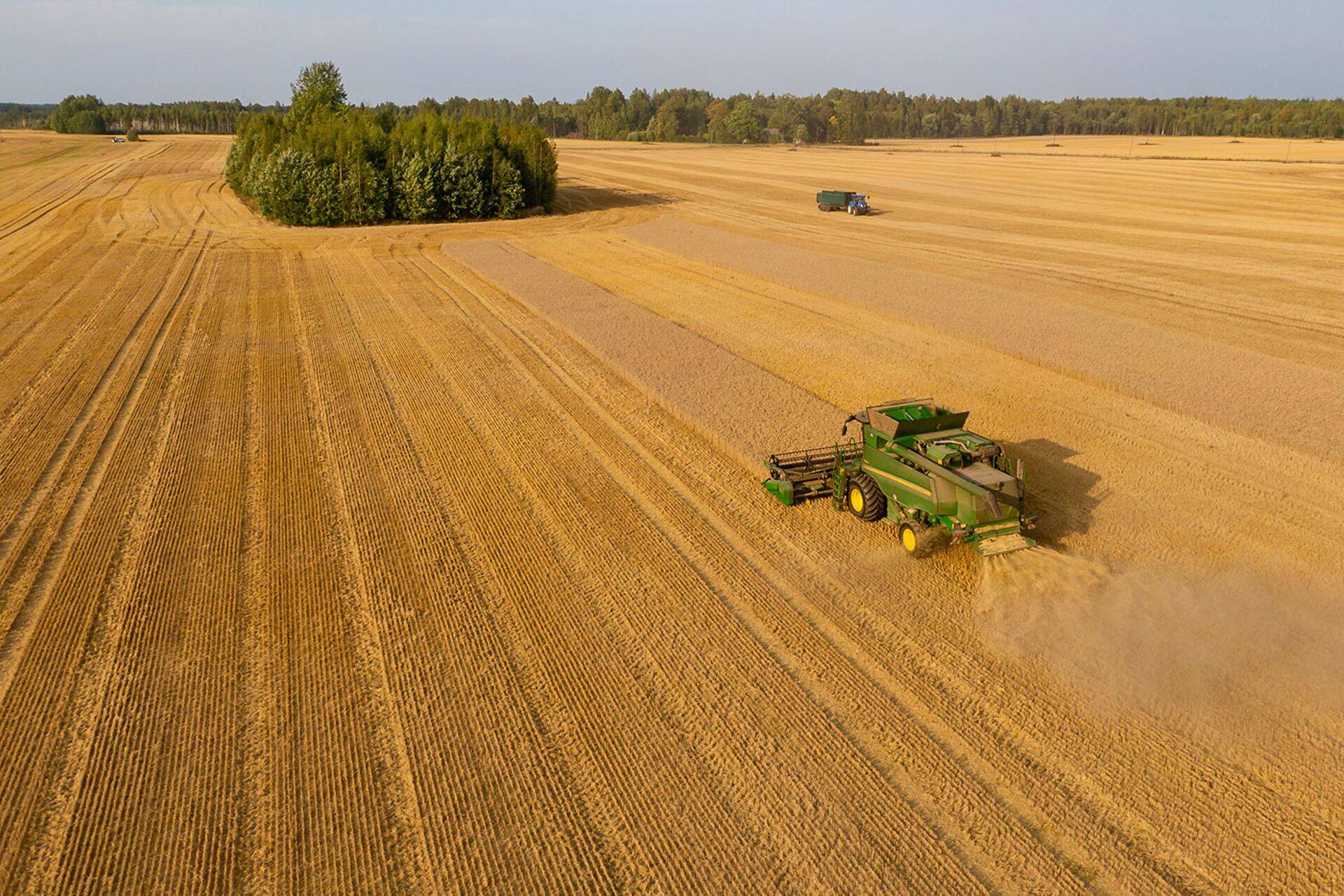 Agrone OÜ ja tema tütarettevõtted moodustavad suurima kodumaisel kapitalil tegutseva põllumajanduse tootmisettevõtete grupi Eestis.