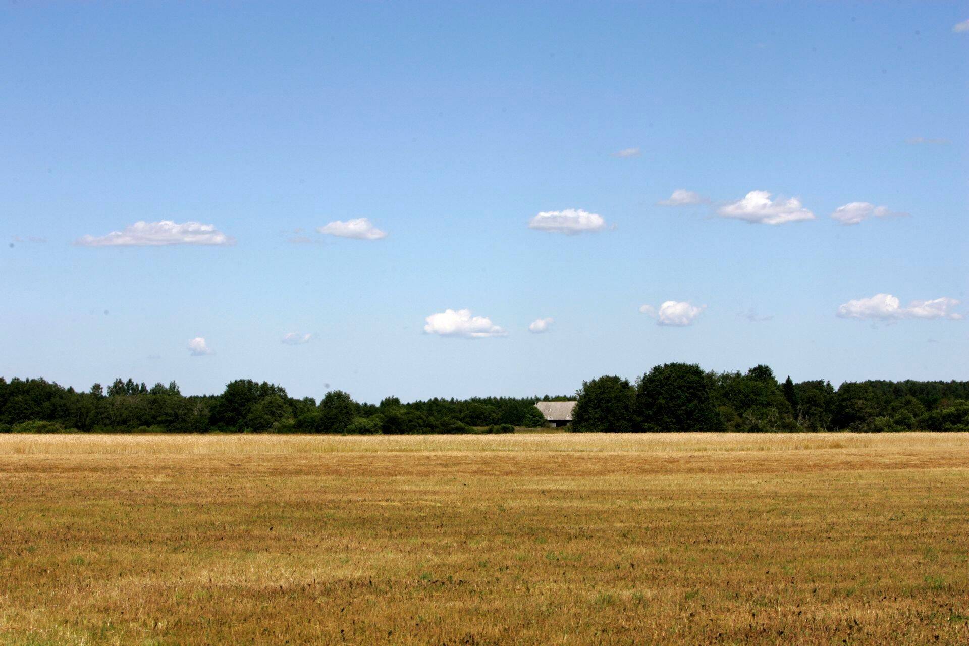 PRIA kinnitas otsetoetuste määrad