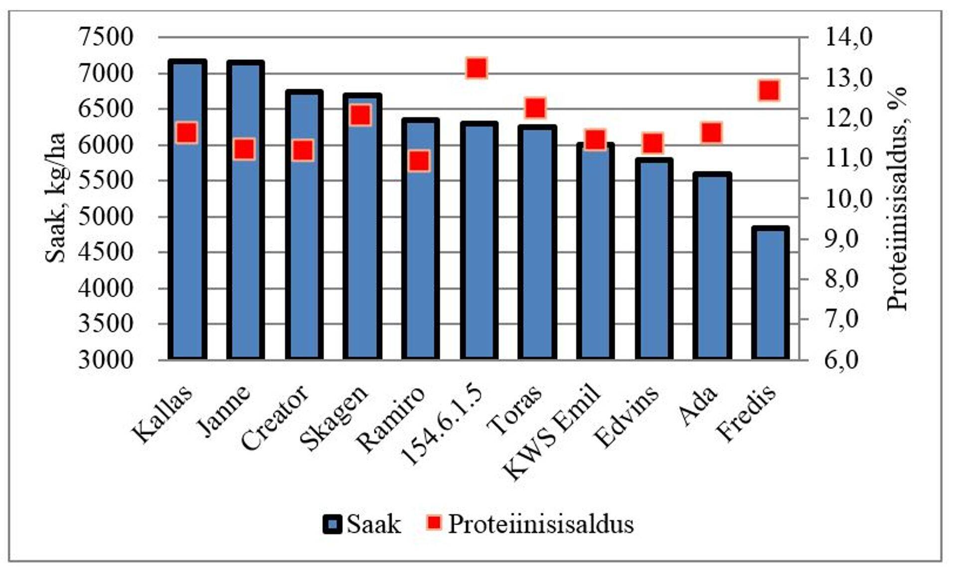 Joonis 1. Talinisu sortide nelja katsekoha keskmine saak ja proteiinisisaldus 2018. a.