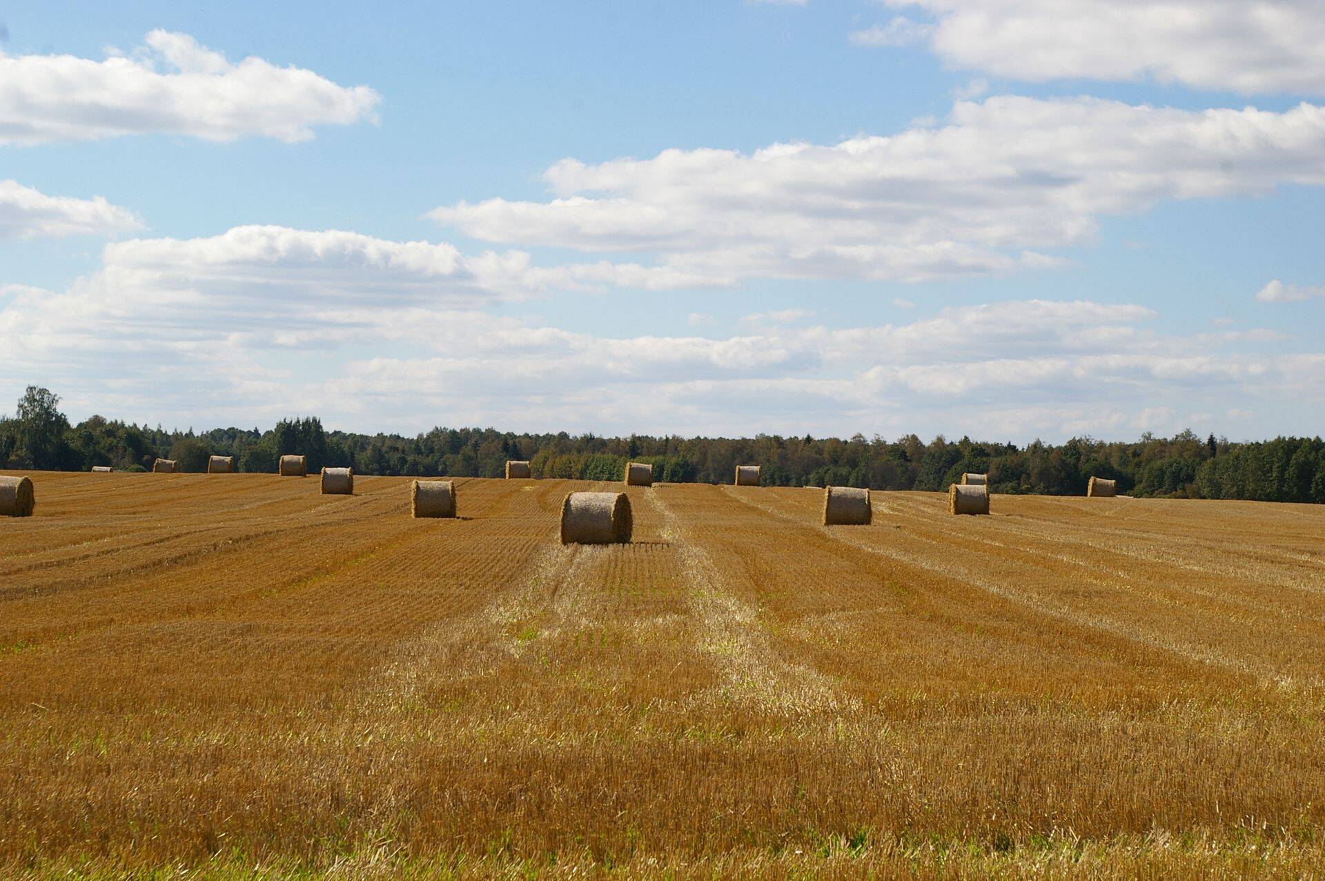 Meie põllumehed peavad saama võrdsed võimalused ametivendadega Euroopast.