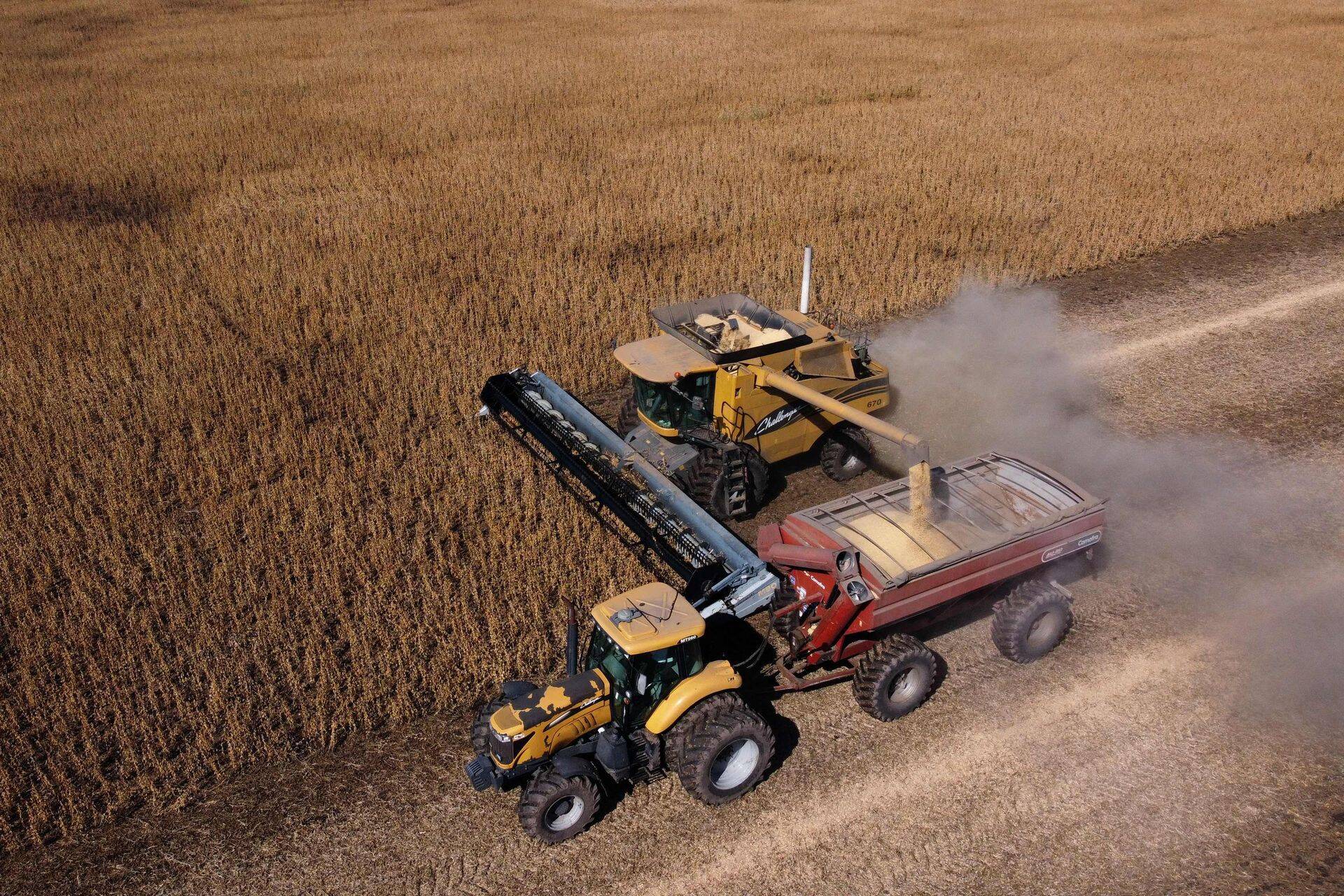 Американские власти полагают, что в Украине скопилось около 20 млн т зерна, которые сложно вывезти из страны.