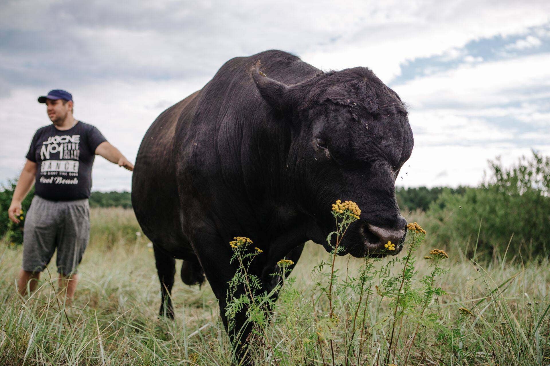 Ivar Baumann peab 180 aberdiini-angust.