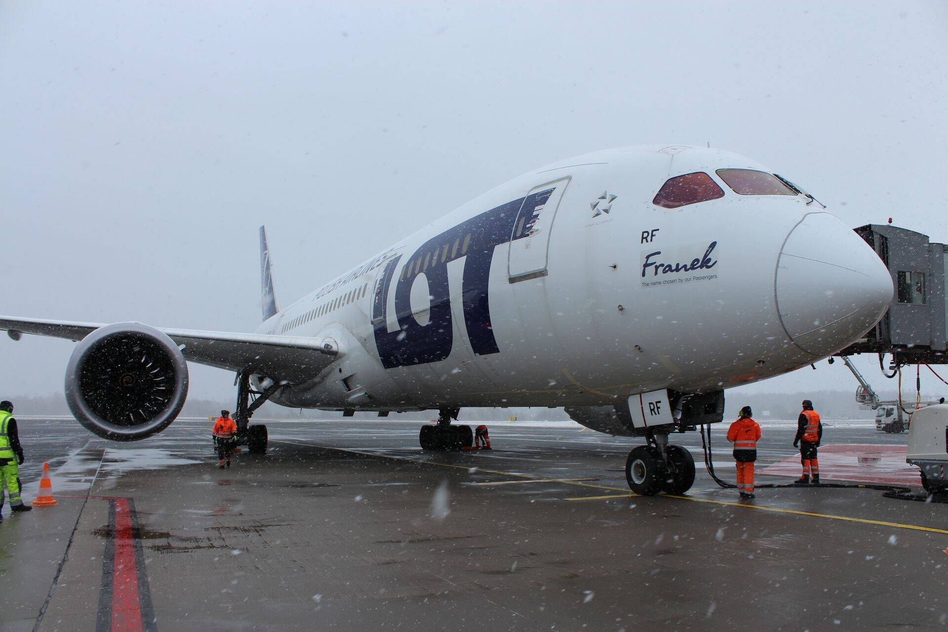 LOTi Dreamliner "Franek"