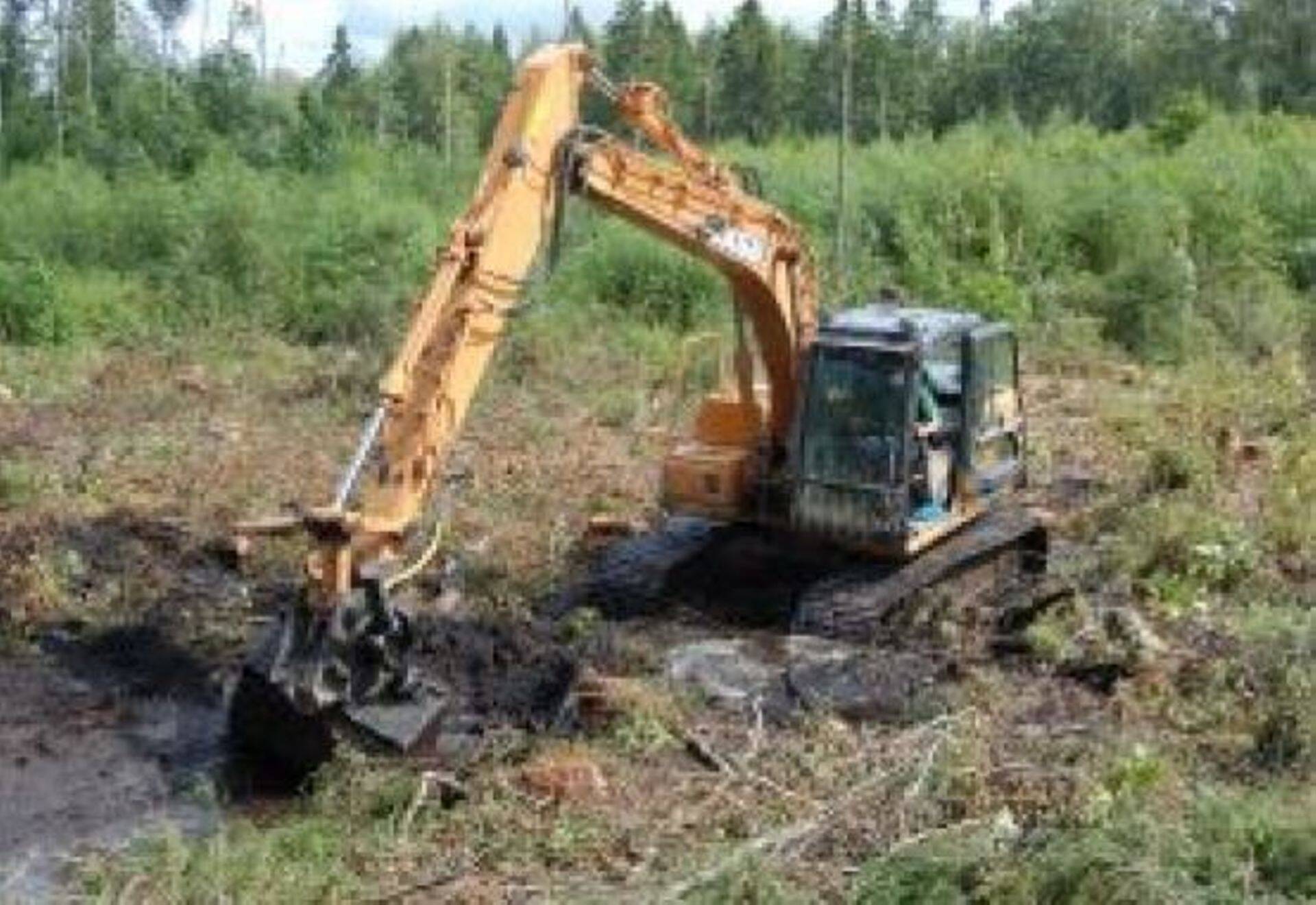 RMK preemia parima metsandusliku magistritöö eest sai Aleksei Potapov