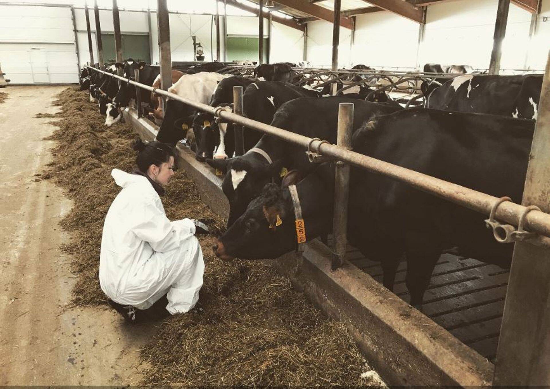 Taluliidu juhti seob maaelu ja talupidamisega kodutalu Surjus