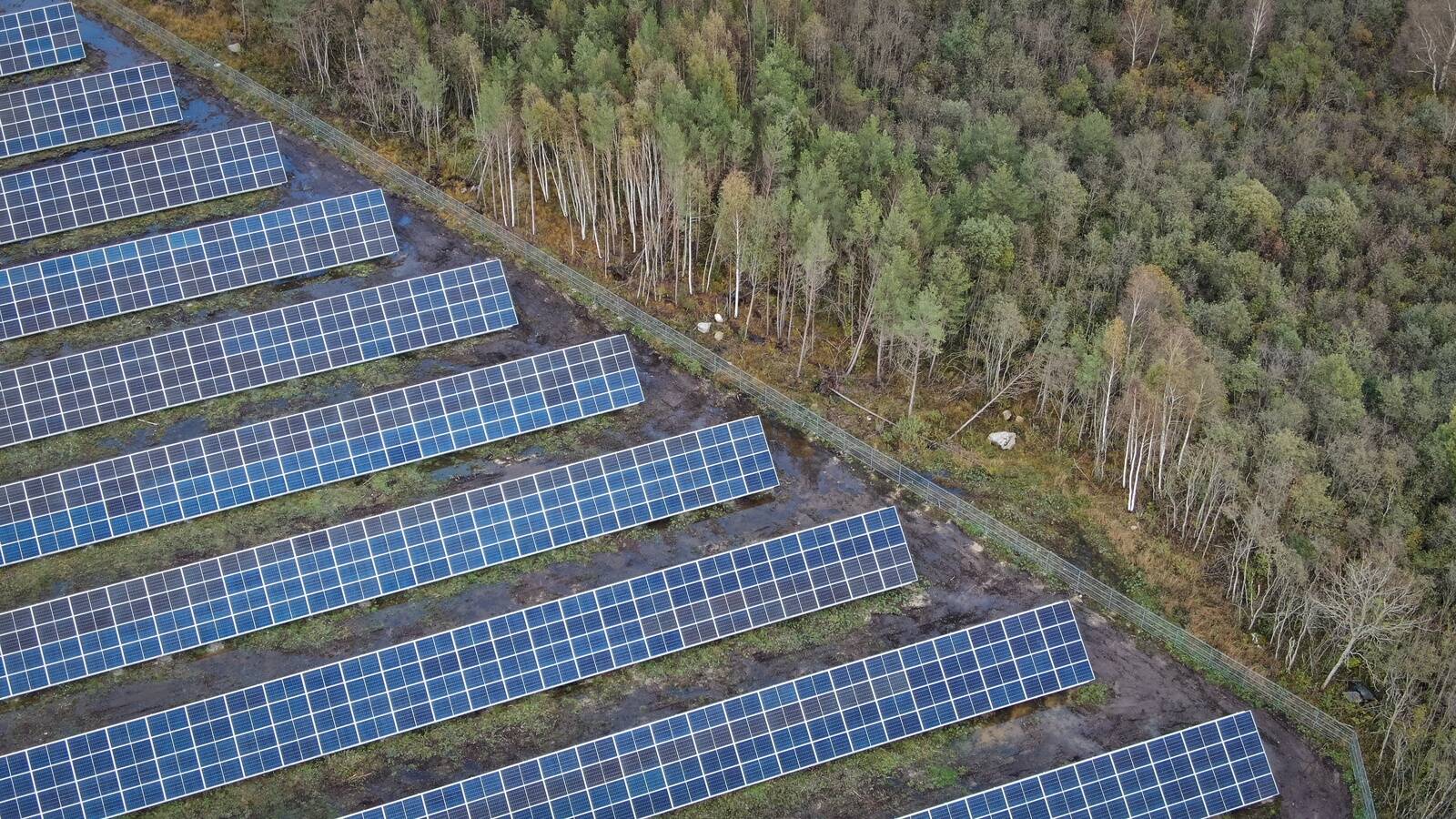 Tänu taastuvenergiale oli juunis üha enam tunde, kus hind püsis alla 0,5 sendi kilovatt-tunni kohta või oli isegi nullis või negatiivne.  Pildil Eveconi päiksepark Lääneranna vallas Kirikmäel.