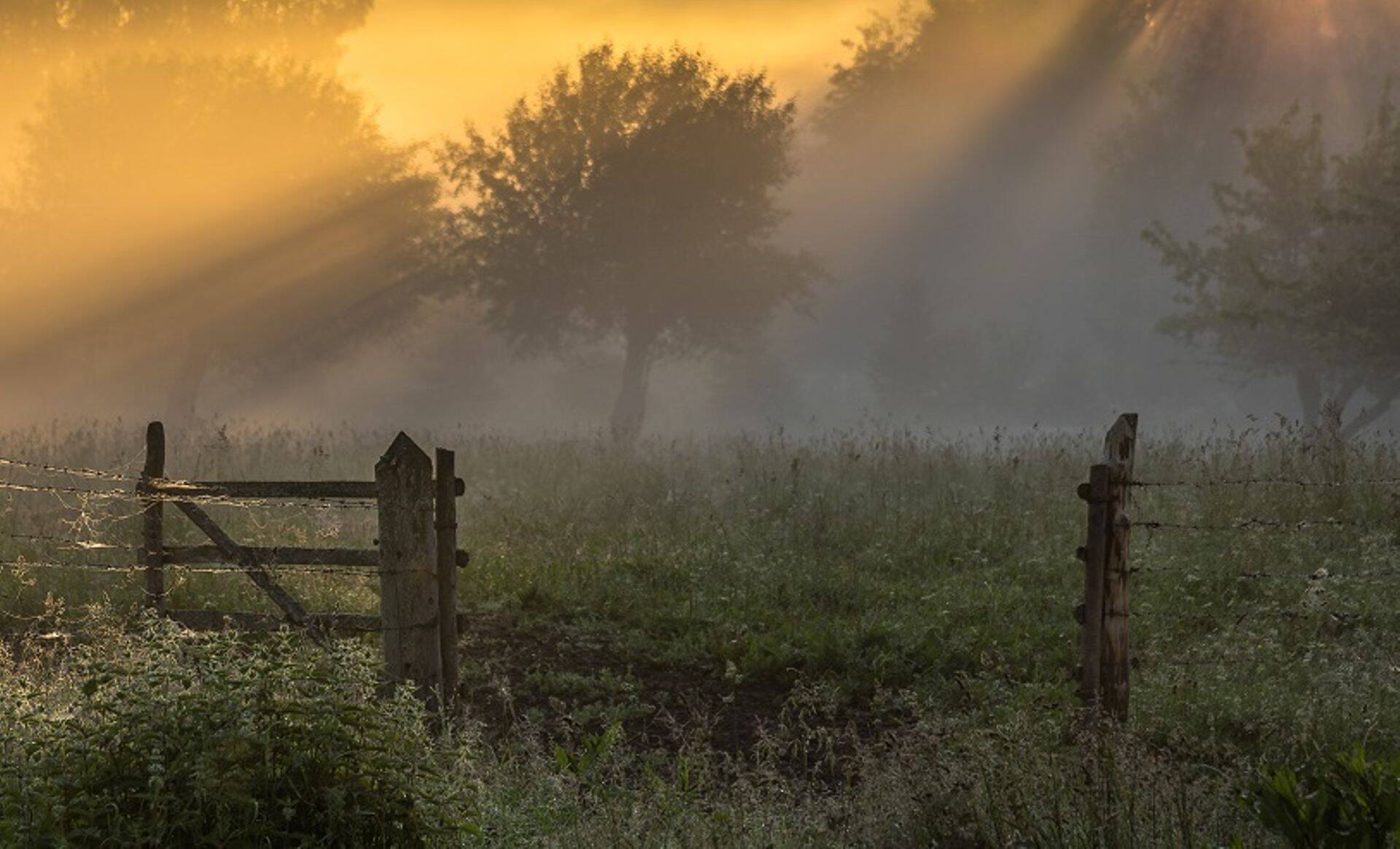 Maaeluministeeriumi teenistujad valisid välja Silvi Aroldi foto.