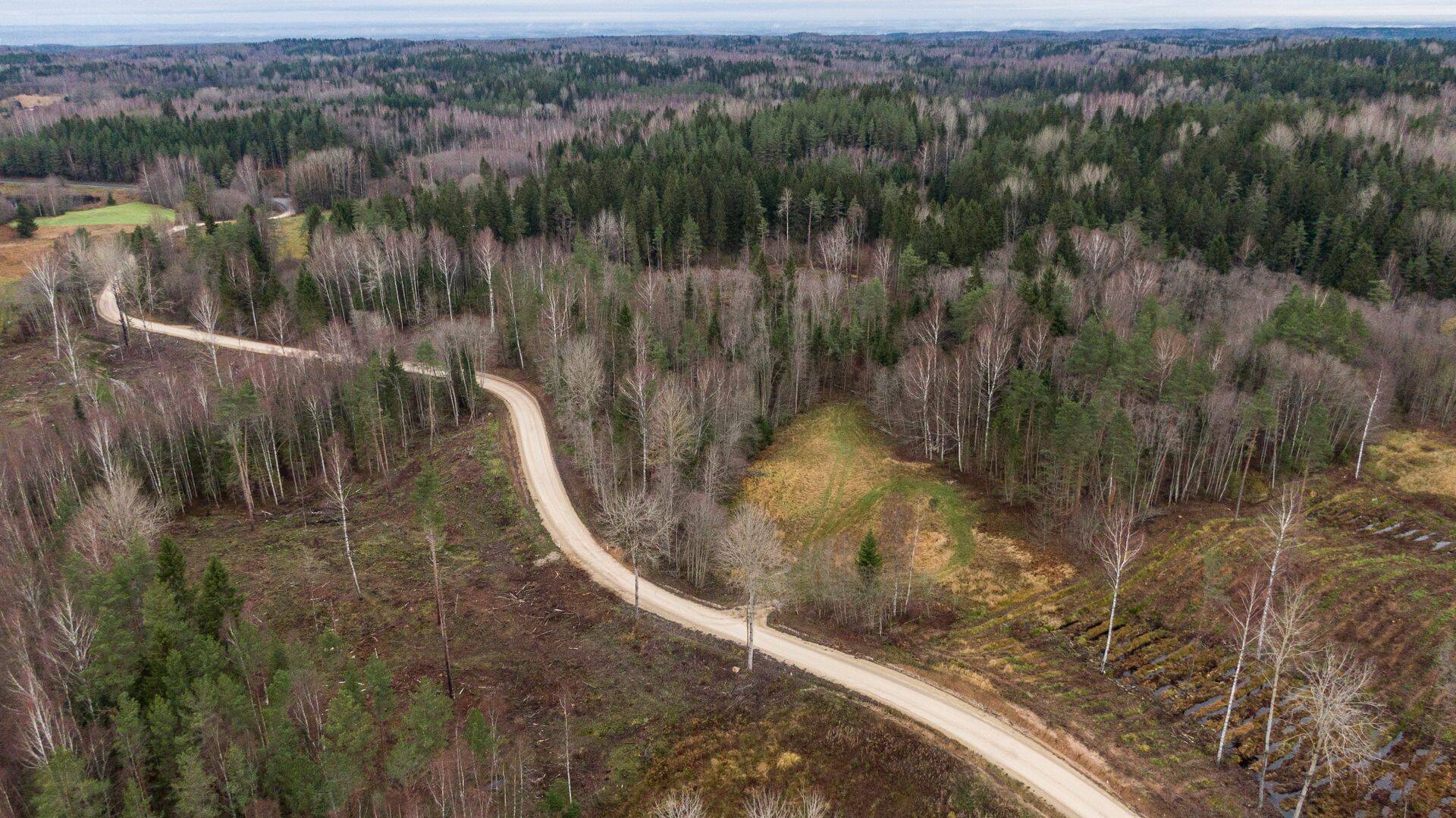 Eesti looduses on rahu ja vaikust, mida “müüa” küll ja küll, rääkisid ettevõtjad saates “Turismitund”.
