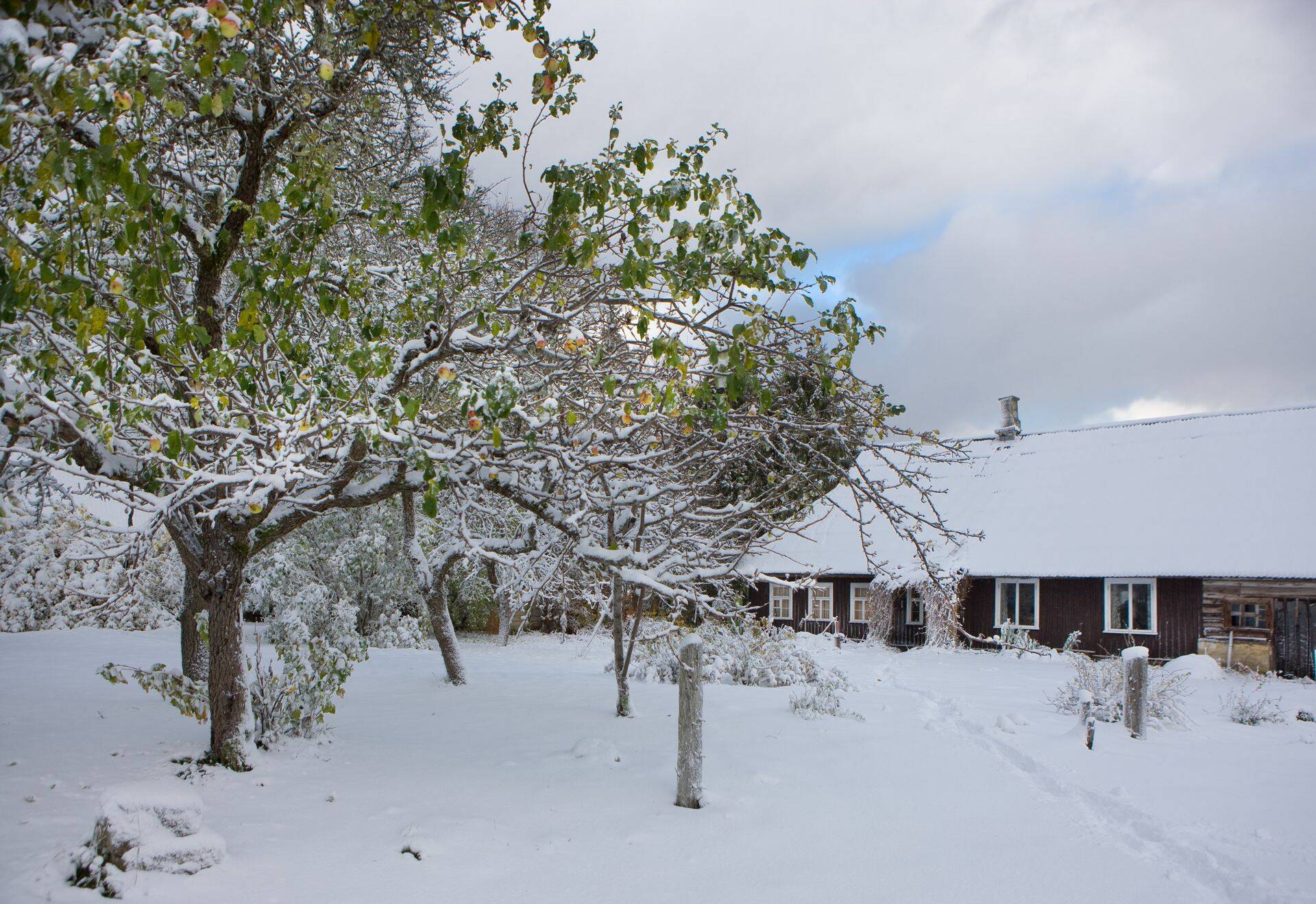 MESi kaaslaenu abil on maapiirkonda kodu soetanud  mitmed lastega perekonnad.