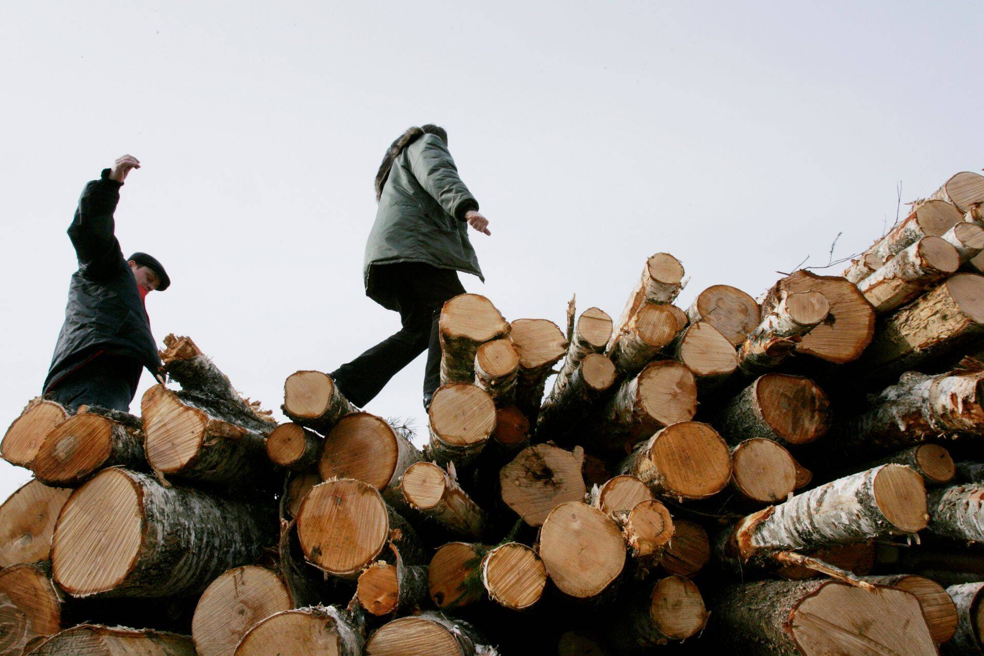 Цены на дрова взлетели до небес.