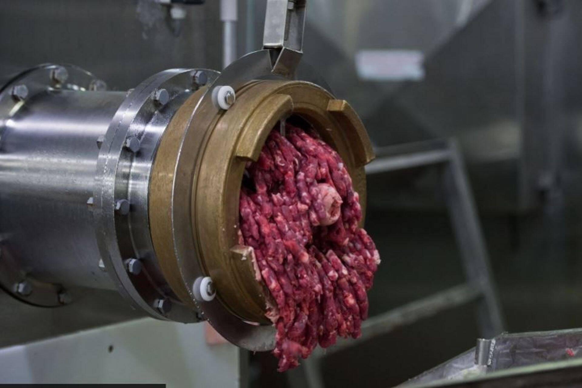 HKScan andis kasumihoiatuse