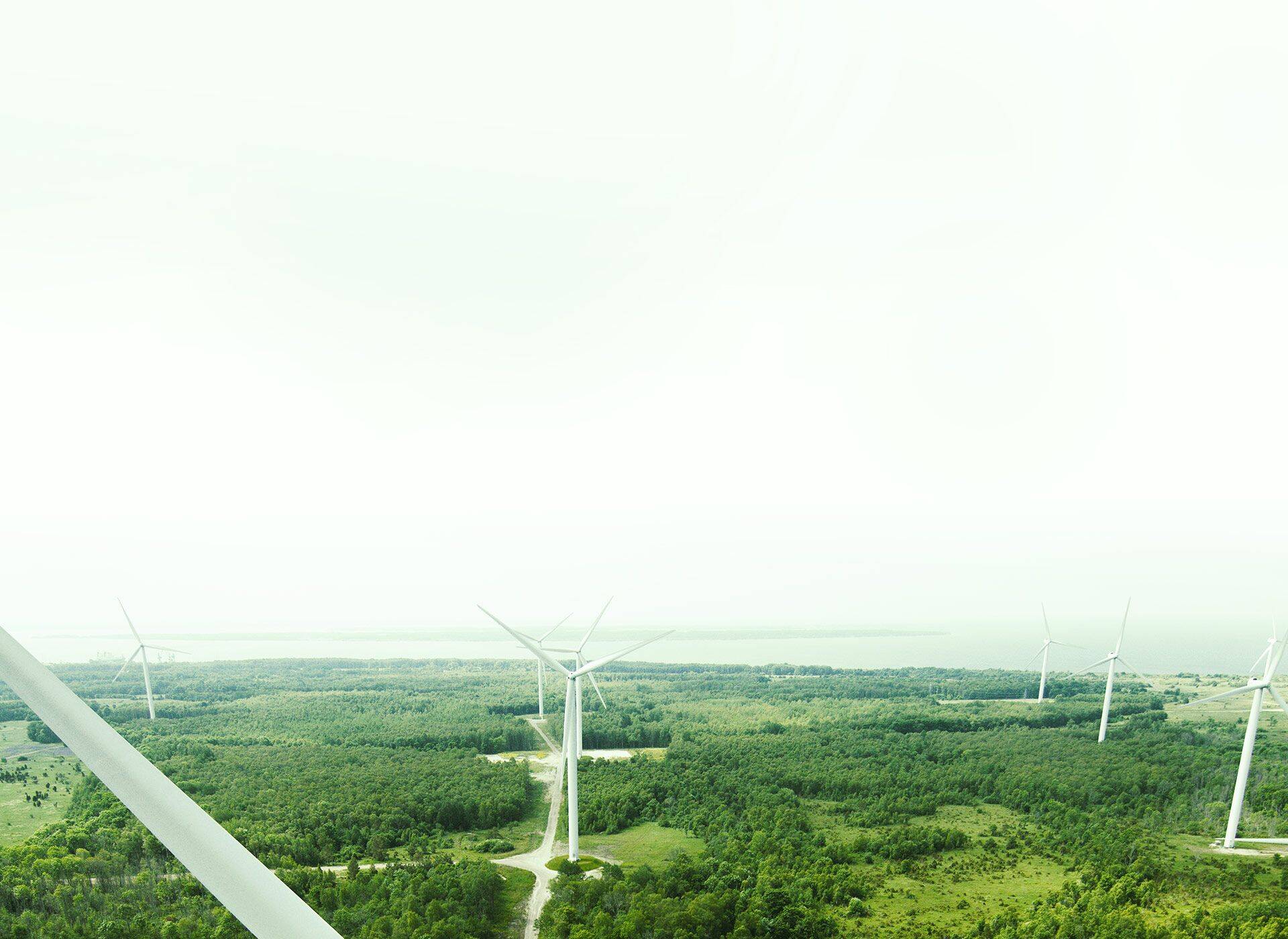 Paldiski tuulepark, kus on tuulikud nii Eesti Energial kui ka Nelja Energial.