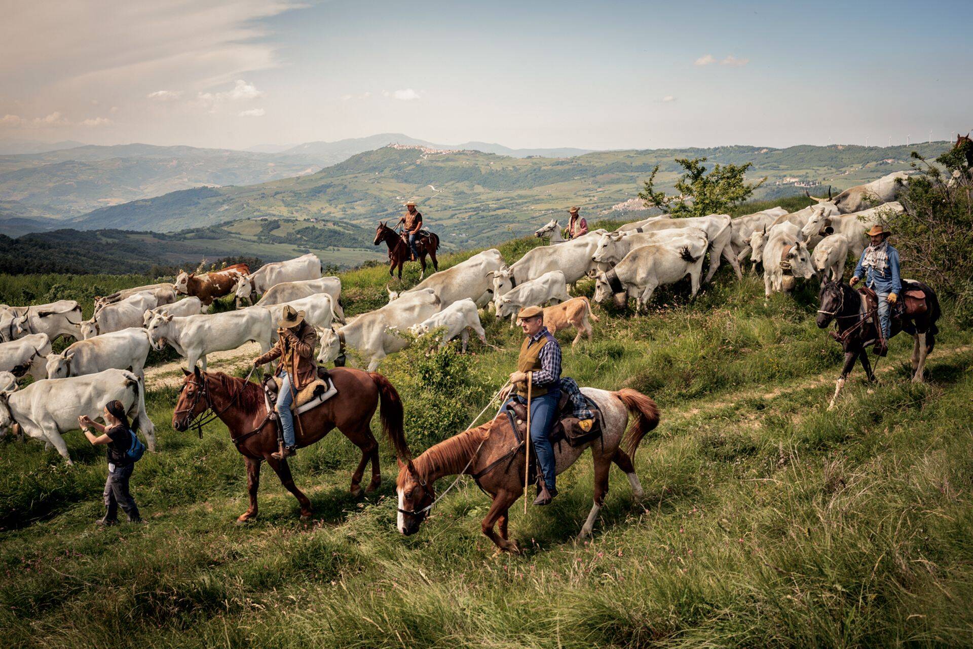Colantuonode pere rändab oma karjaga suve- ja talvekarjamaade vahet, nagu on kõikjal maailmas karjakasvatajate kogukondades ammune traditsioon. Hiljuti tunnustas UNESCO rändkarjatamise kultuurilist tähtsust.