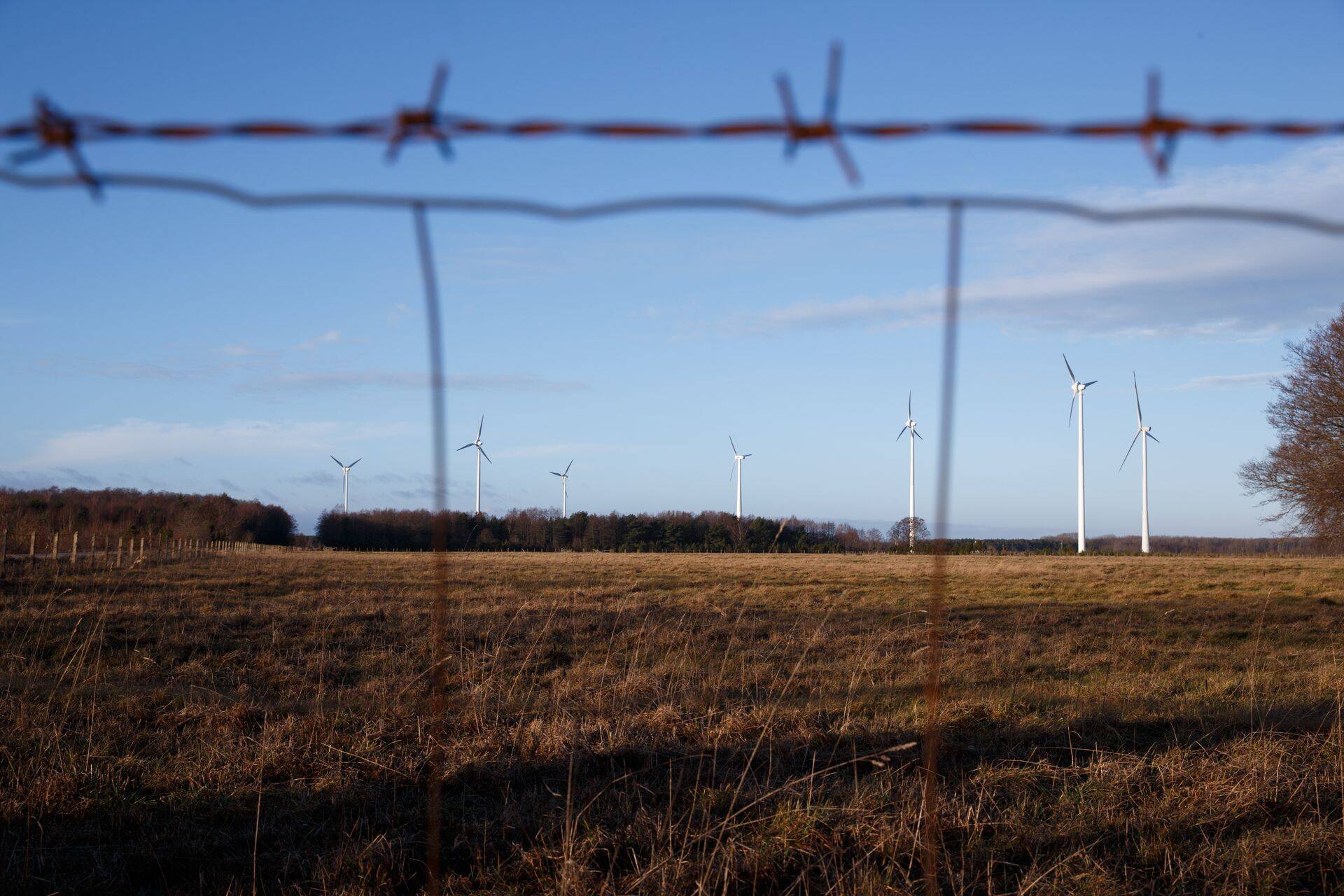 Alates eelmise aasta veebruari lõpust toodab Salme vallas Lassi külas Sõnajalgade tuulegeneraator Eleon 3M116 elektrit. Tegemist on nende leiutatud ja patenteeritud tuulegeneraatoriga, mis praegu on Baltimaade suurim.