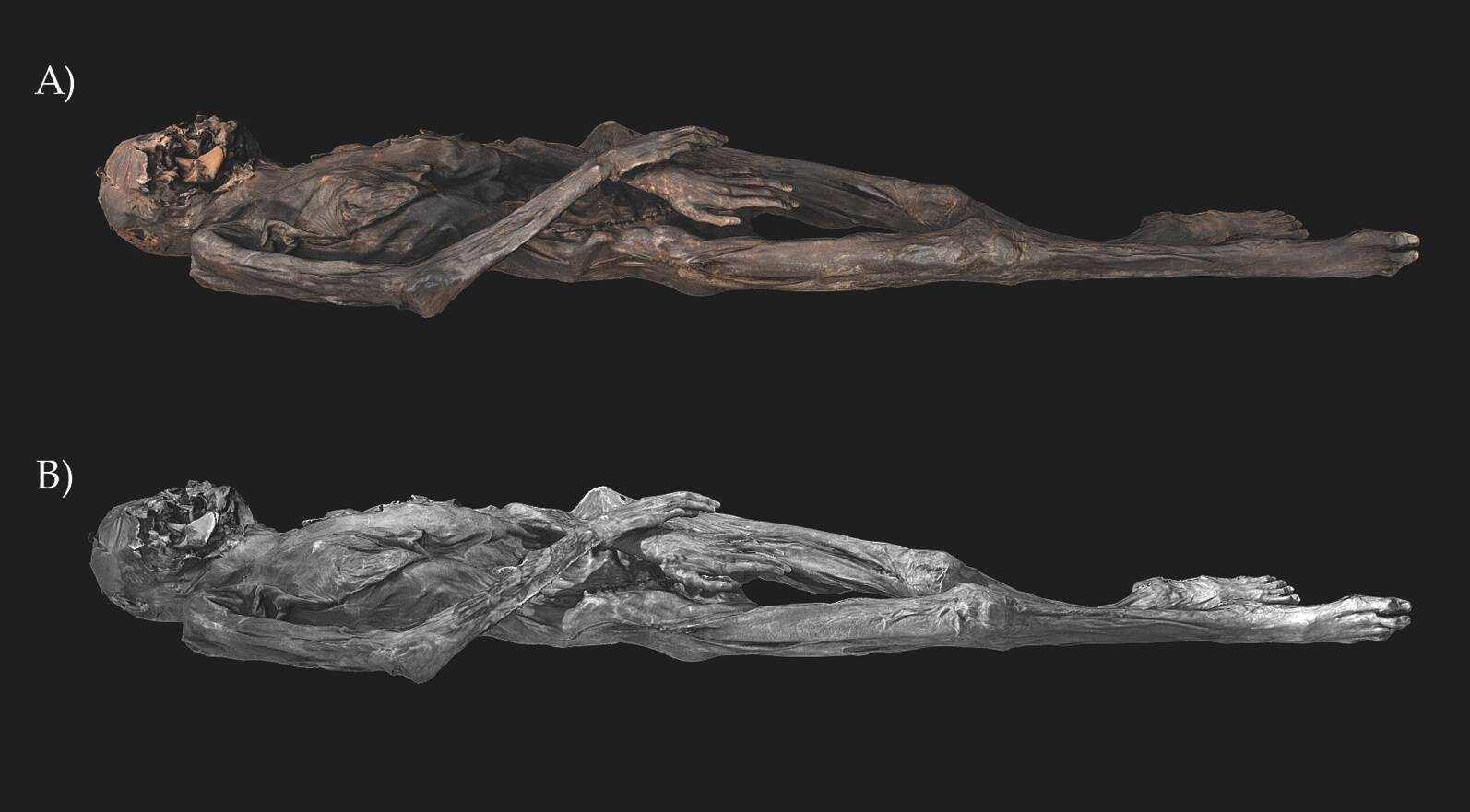 Muumia fotogramm-meetriline 3D-mudel.