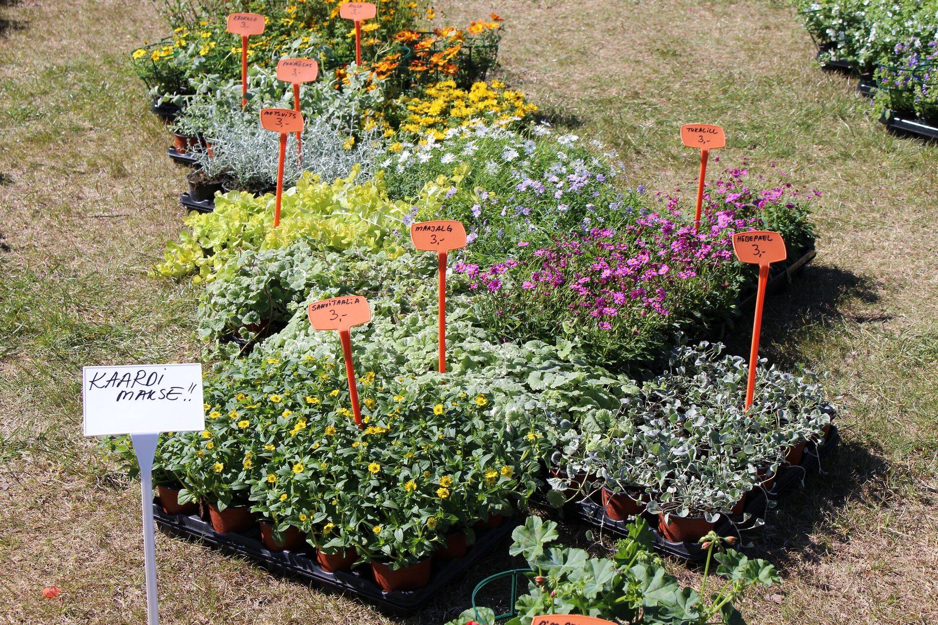 Eesti Aiandusliit: kontroll turgudel ja laatadel peab olema rangem