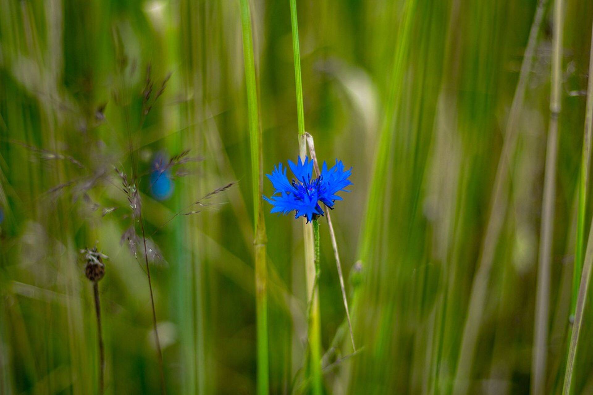 Kandideeri Läänemere-sõbraliku taluniku konkursile