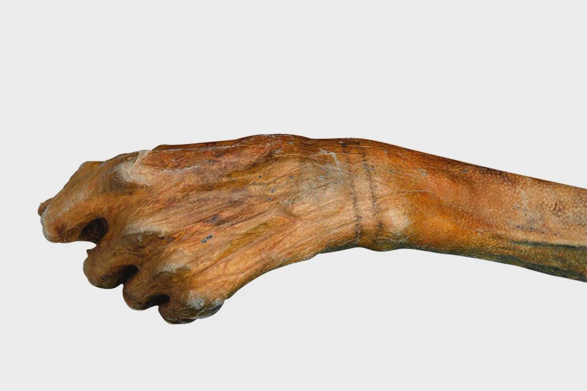 © Südtiroler Archäologiemuseum