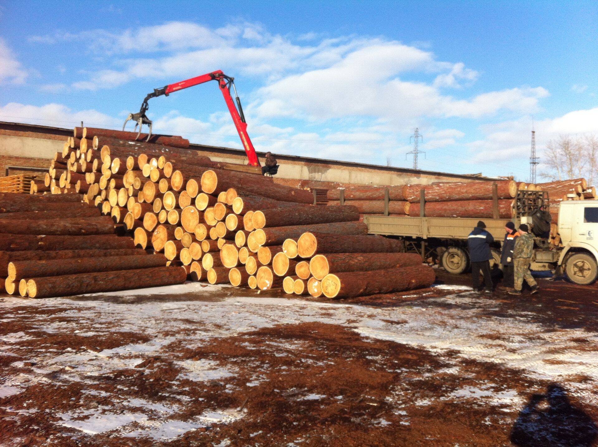 Siberi lehise palgid OÜ Wellmax Baltic tütarfirma, Krasnojarskis asuva Lartimberi hoovis.