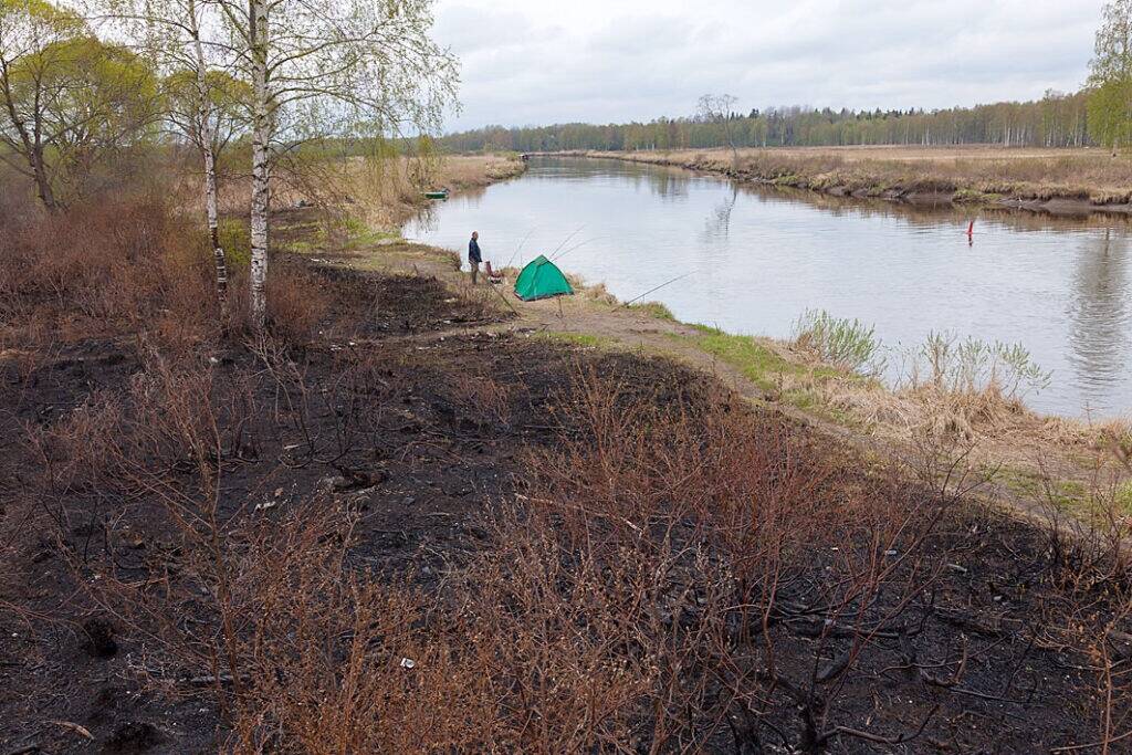 Omavolilisest lõkkekohast alguse saanud maastikupõleng Emajõe kaldal Kärevere looduskaitsealal.