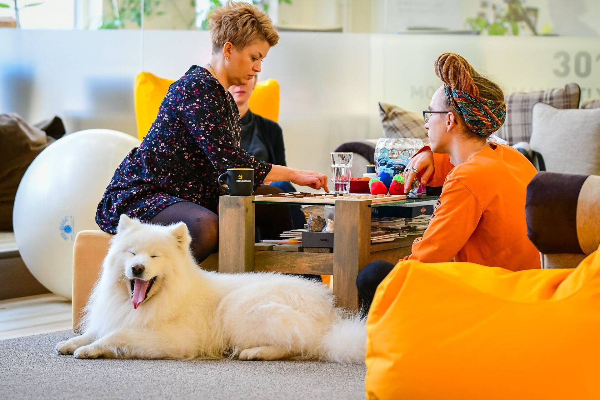 В эстонской ИТ-компании "работают" собаки