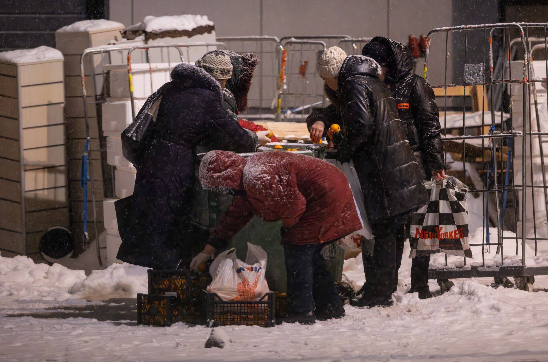 Daamid on hästi varustatud: puuviljade sorteerimiseks on neil käes kummikindad ja kaasas mitu kilekotti.