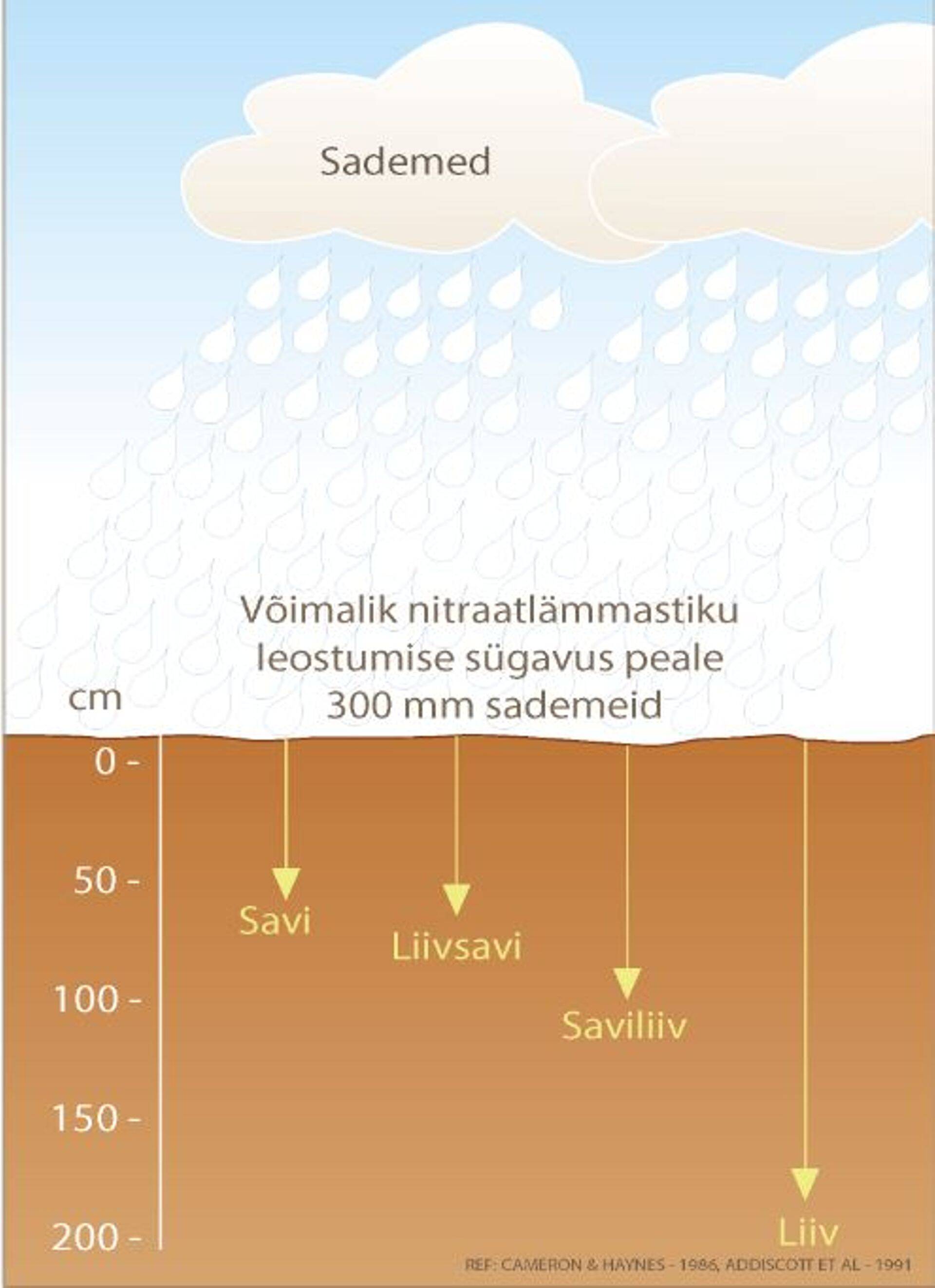 Joonis 1. Võimalik lämmastiku leostumine