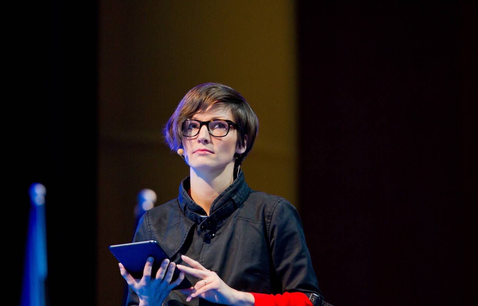 Член Рийгикогу Йоко Алендер