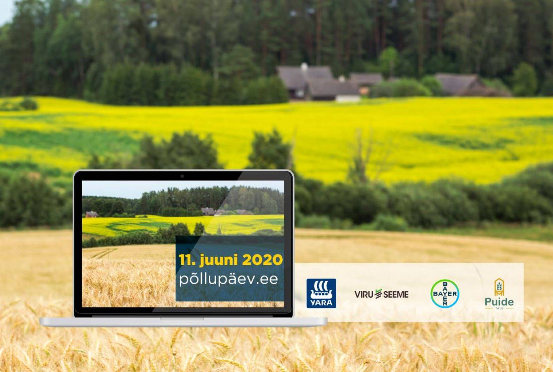 Bayer ja Yara koostöös seemnekasvatajatega Puide talu ja Viru Seeme kutsuvad tipptegijate virtuaalsele põllupäevale.