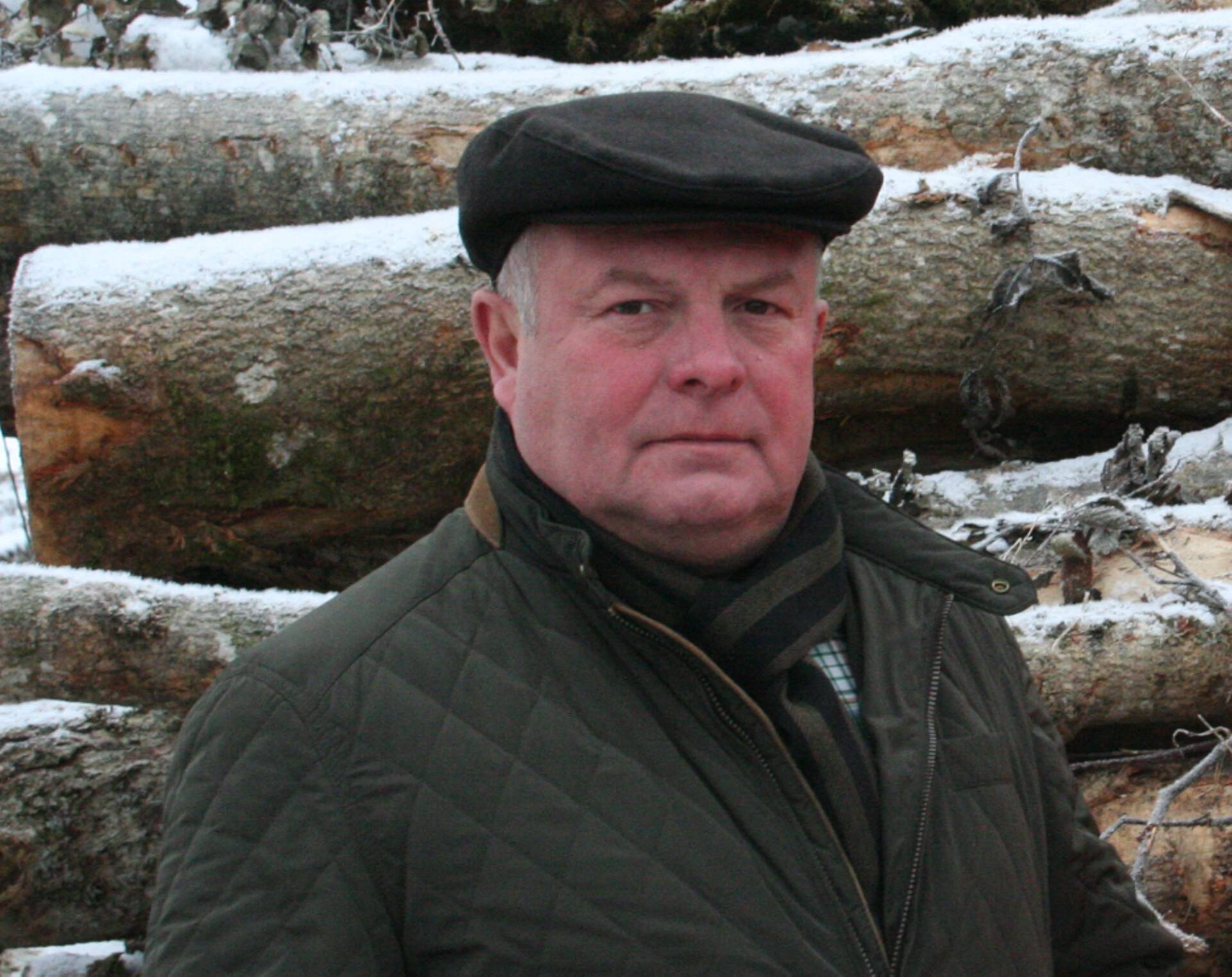 Runo Ruubel: Petitsiooni poolt olles oled metsa vastu