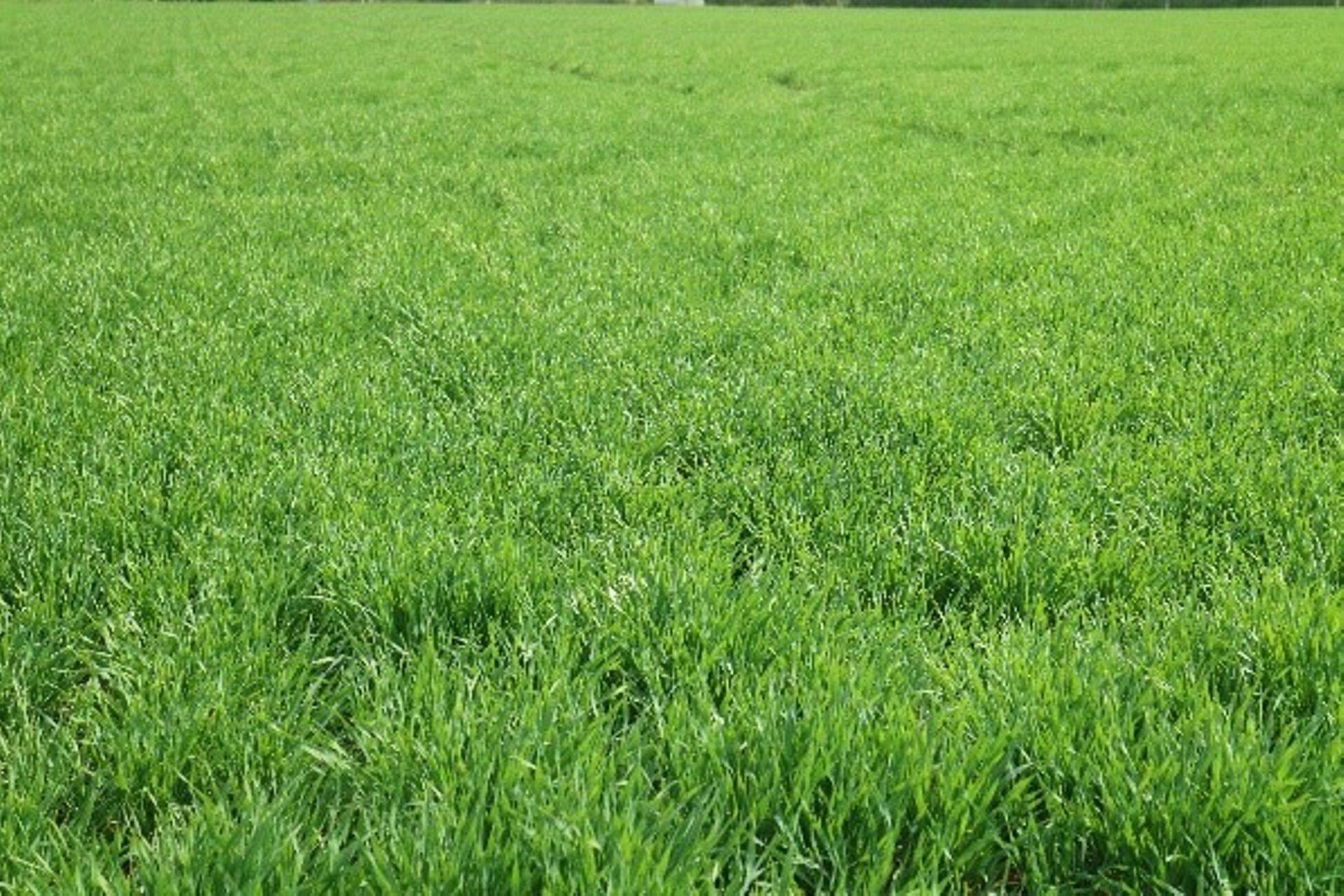 Talioder, kevad 2019, Viljandimaa