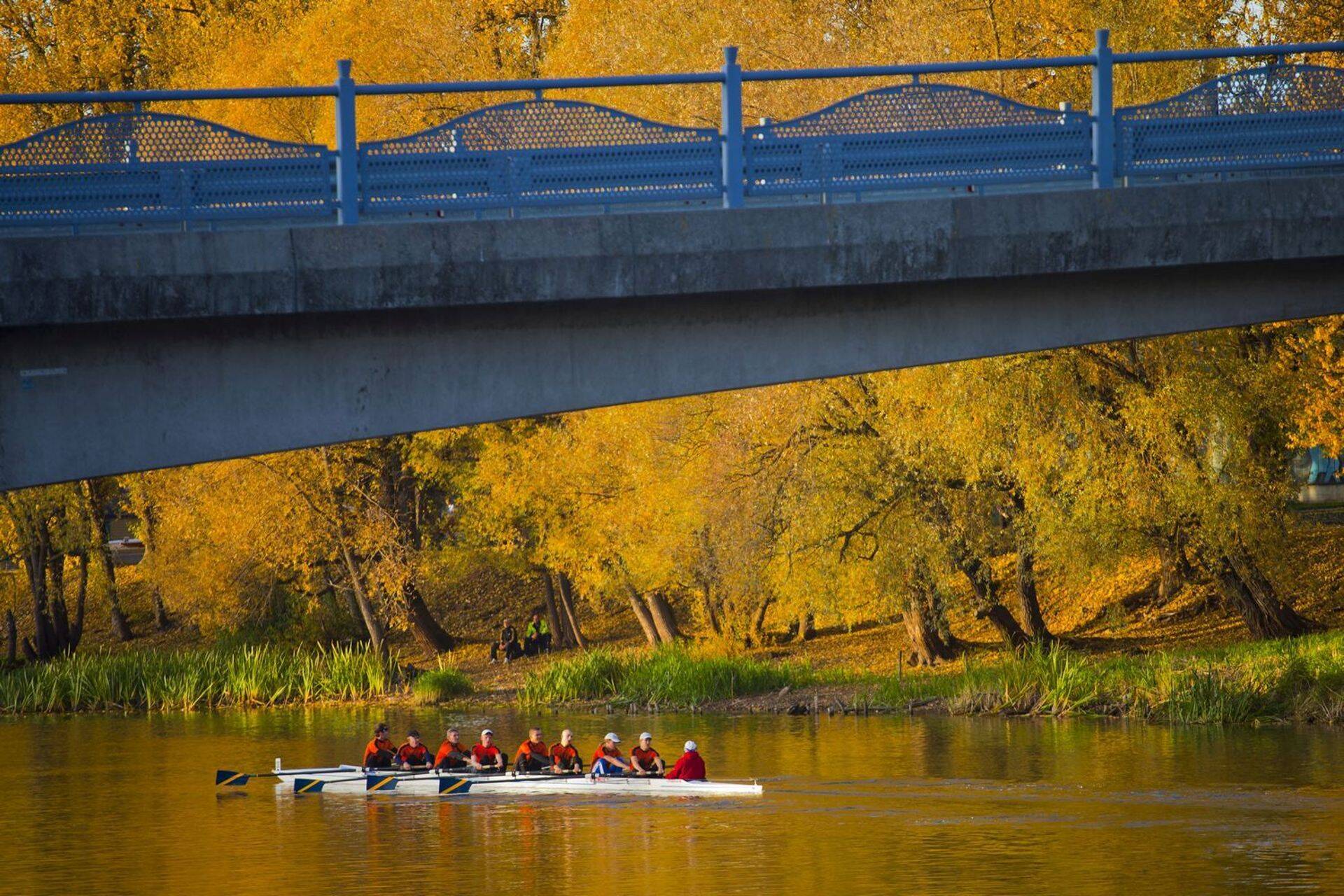 Kroonuaia silda ootab hooldusremont