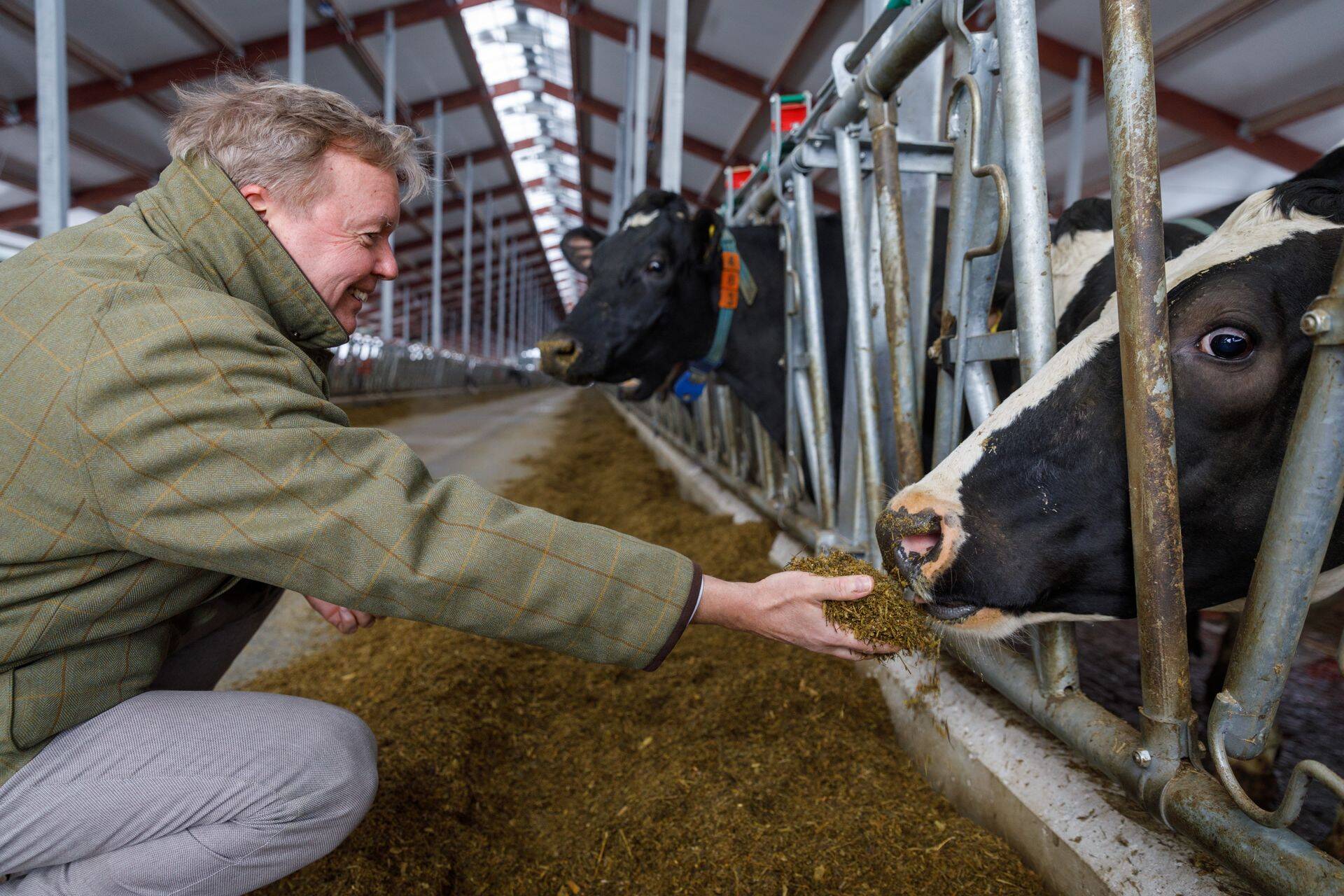 Eesti põllumajandust ootab ees helge tulevik, usub Joakim Helenius, kelle kontrolli all olev Trigon Green Agri Holdings tahab saada Kaiu ja Väätsa piimafarmide ainuomanikuks.