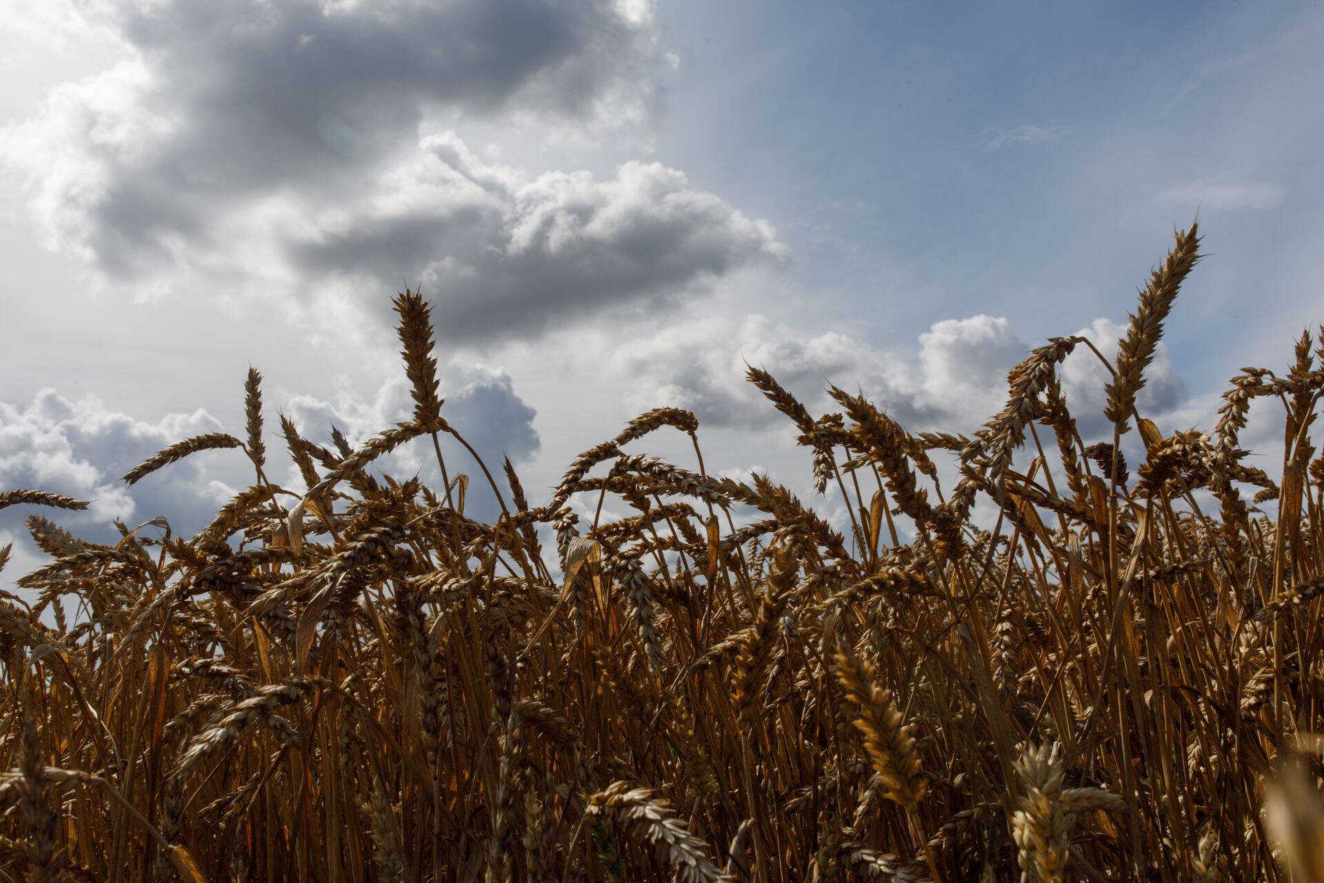 В 2018 году компания достигла 112-го места в рейтинге самых успешных компаний Äripäev.