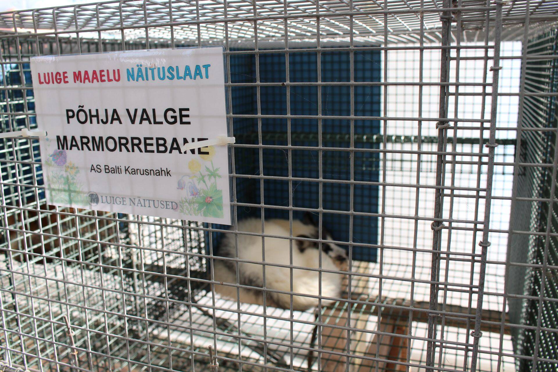 Karusloomakasvatus aitab luua uusi töökohti