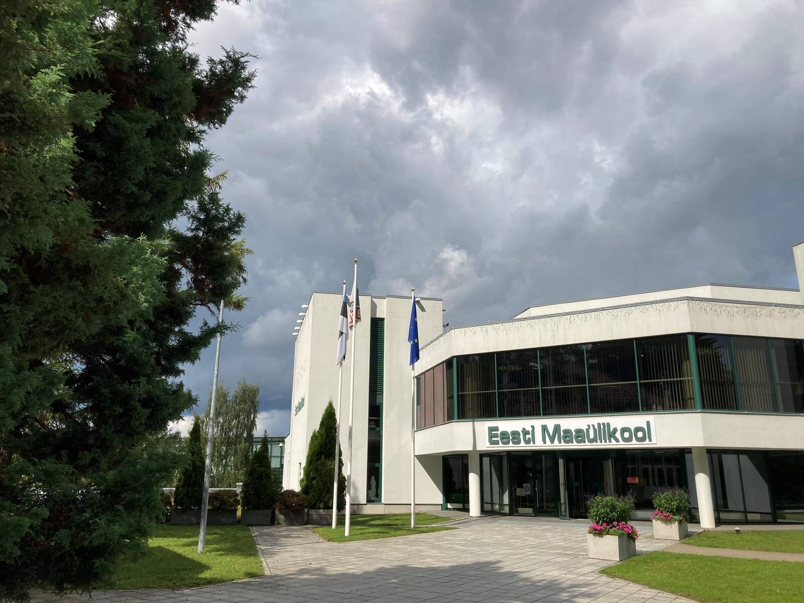 Maaülikool kutsub uue arengukava koostamisel kõiki üles arutlema ülikooli tuleviku üle.