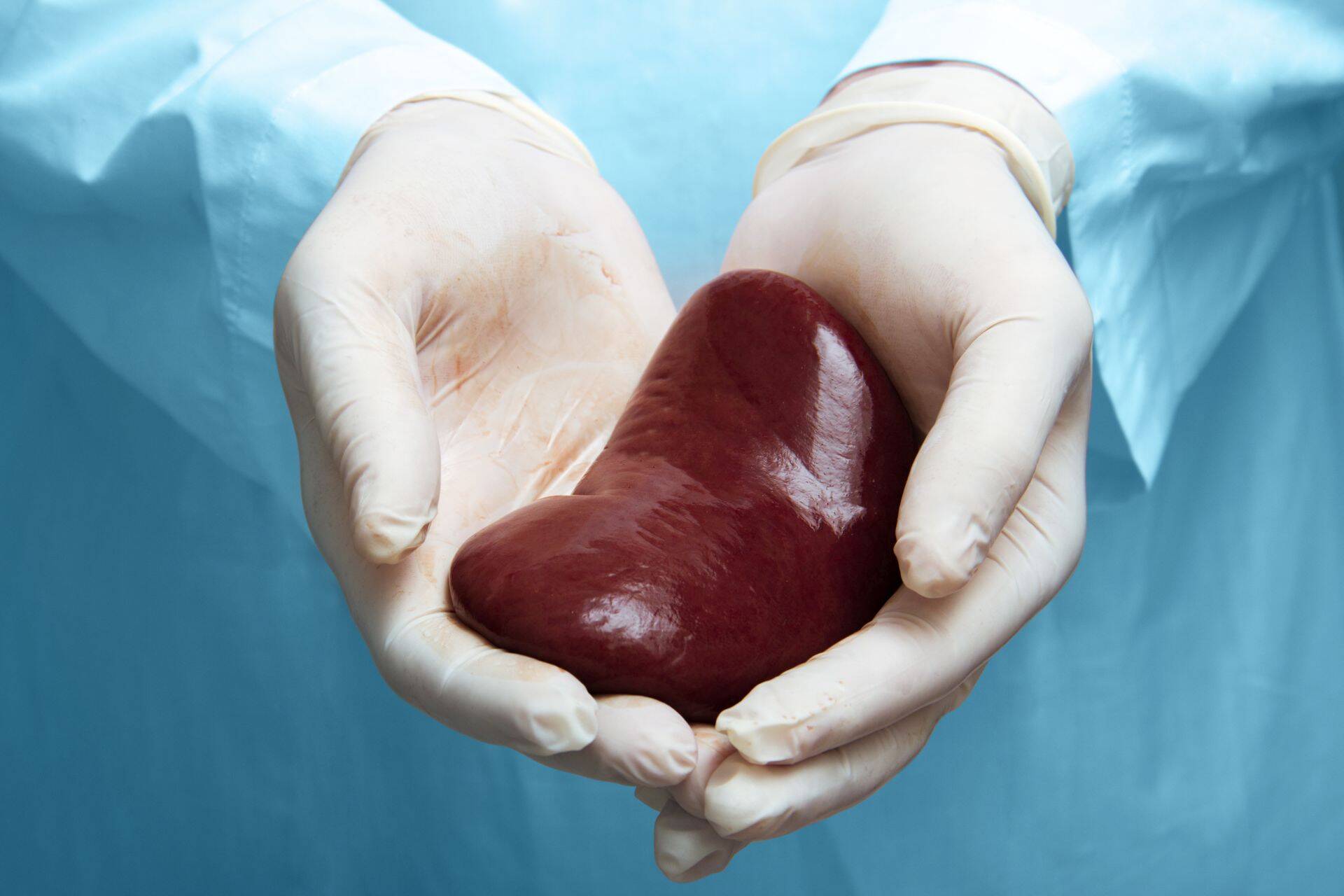 Eestis on enim inimesi uue neeru ootejärjekorras.