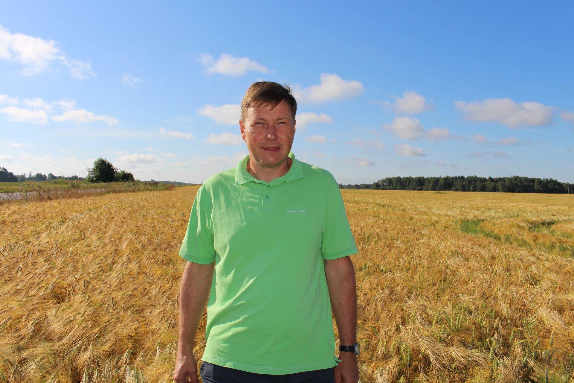 Aivar Treiberg hübriidodra põllul