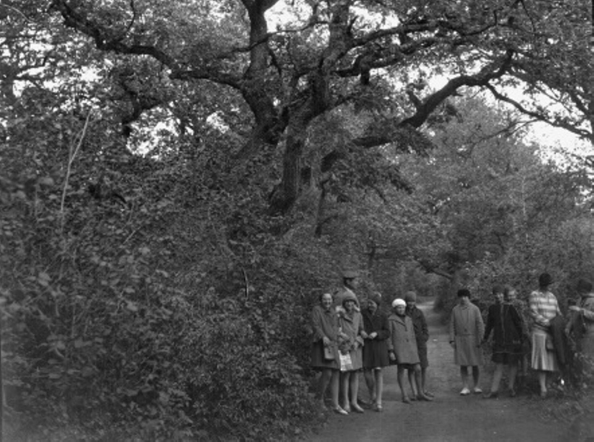Ekskursandid Rakvere tammikus 1928. aasta suvel.